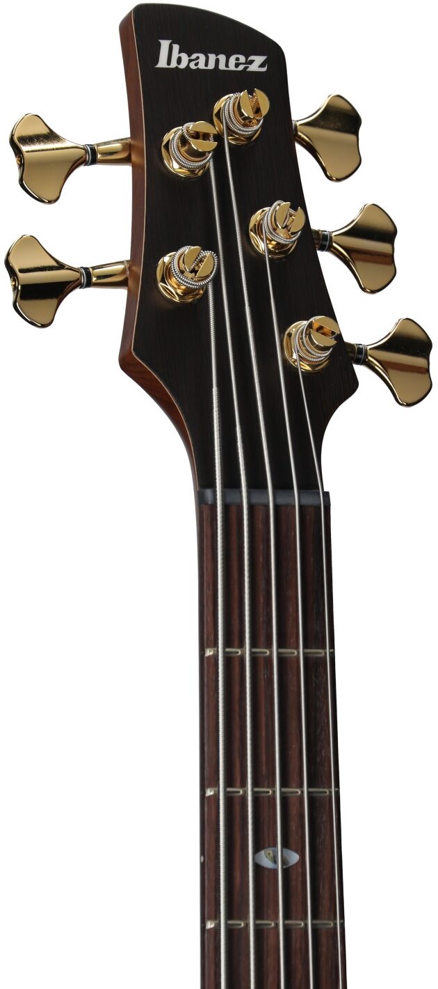 Ibanez SR6605 Prestige Electric Bass, 5-String (with Case), Ghost Fleet Blue, Serial Number 210001F2512121, Headstock Left Front