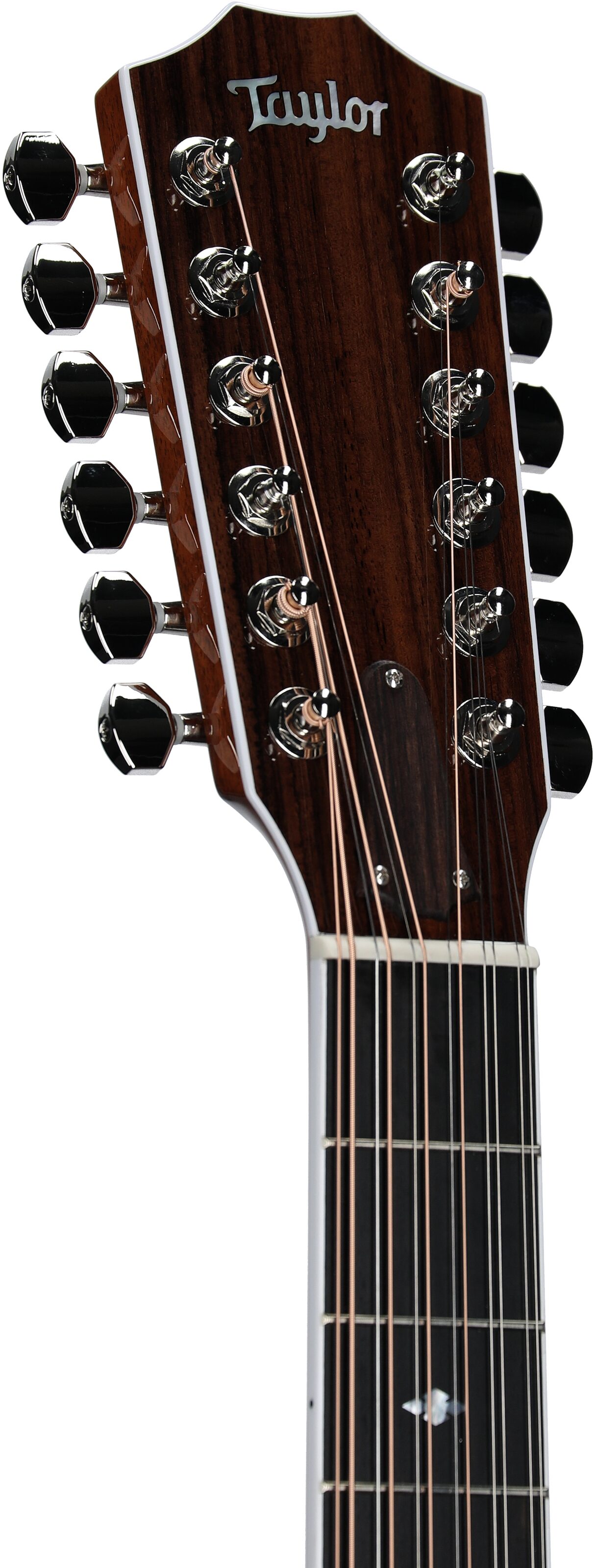 Taylor 855e Jumbo Acoustic-Electric Guitar, 12-String (with Case), New, Headstock Left Front