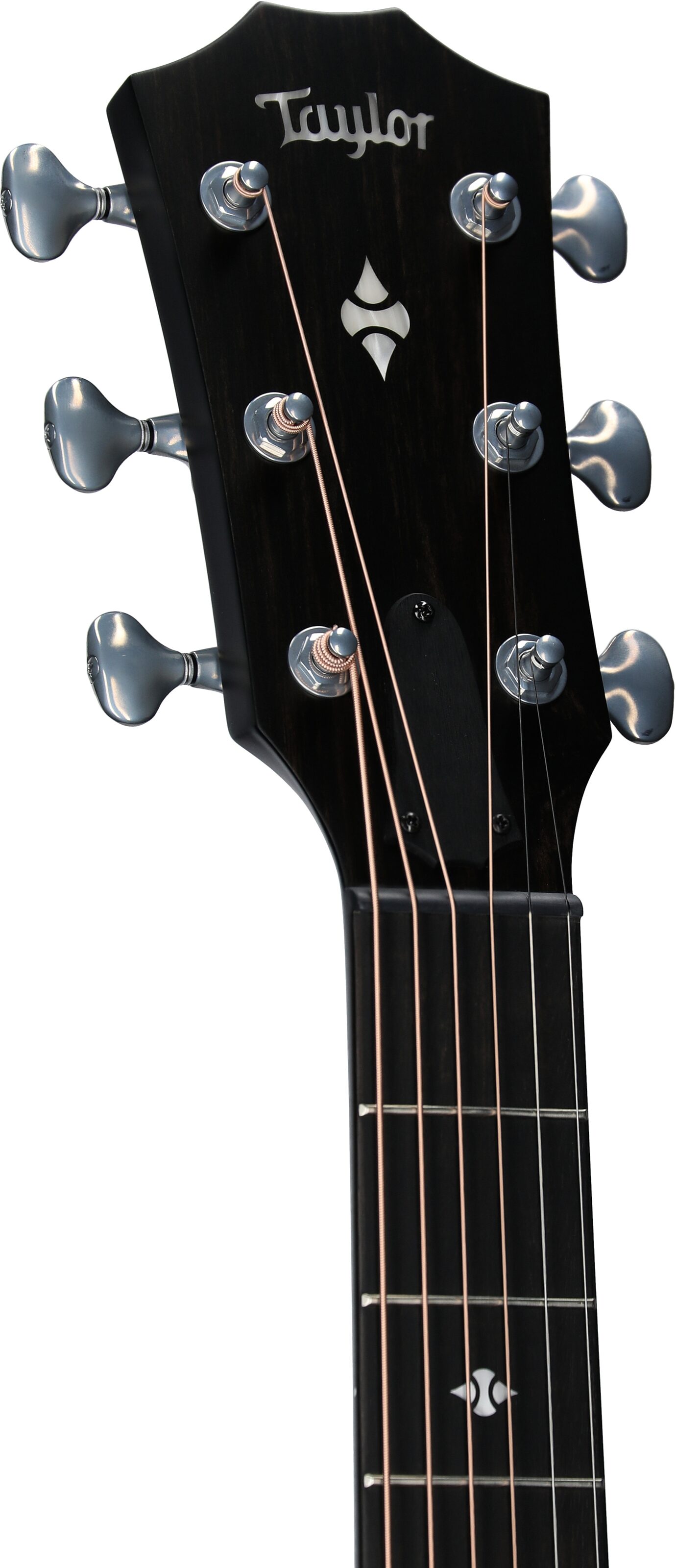 Taylor Builder's Edition 514ce Acoustic-Electric Guitar (with Case), Natural, Headstock Left Front
