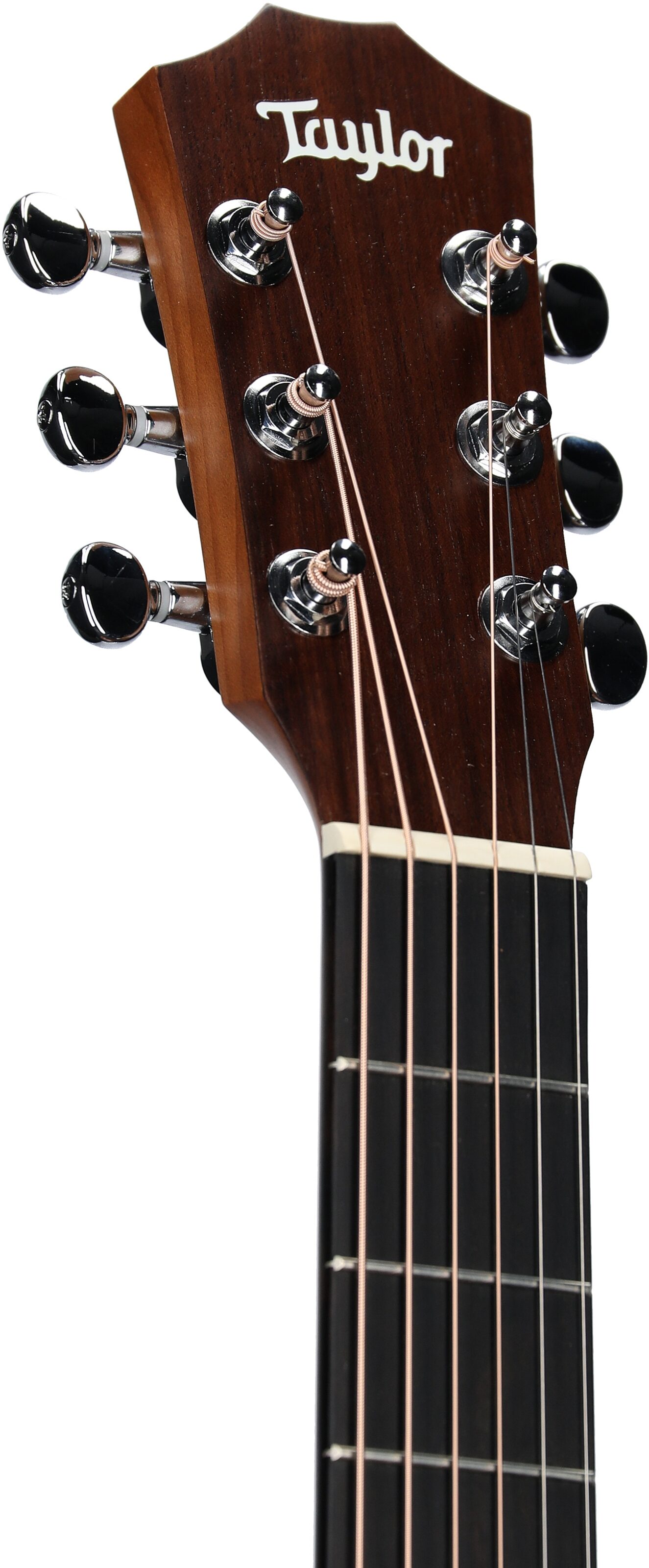 Taylor Baby Taylor BT2e 3/4-Size Acoustic-Electric Guitar (with Gig Bag), New, Headstock Left Front