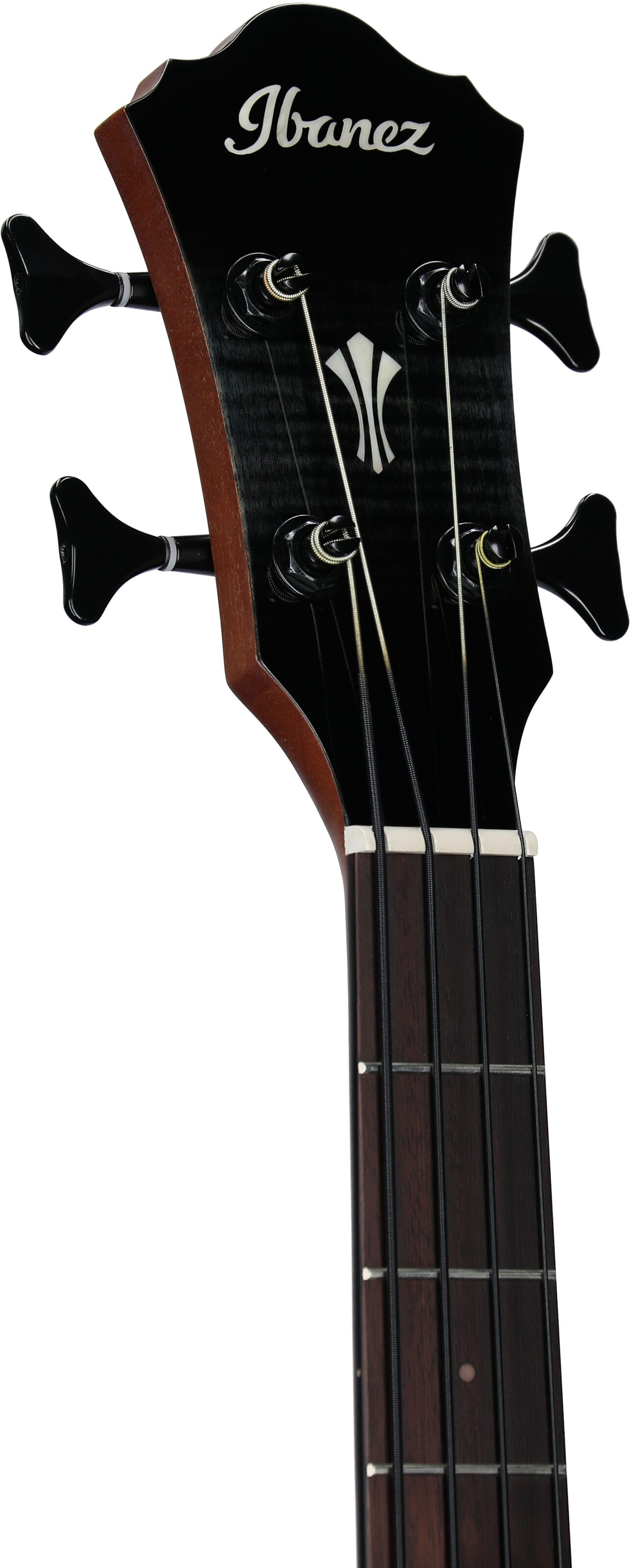 Ibanez AEGB25E Acoustic-Electric Bass, Transparent Black Burst Hi Gloss, Headstock Left Front