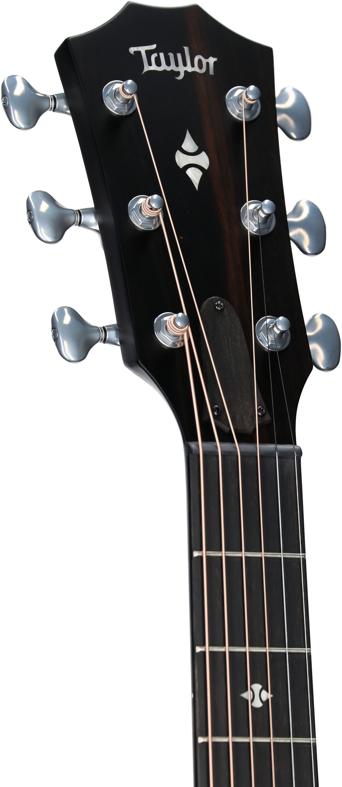 Taylor Builder's Edition 524ce Grand Auditorium Acoustic-Electric Guitar (with Case), Kona Burst, Headstock Left Front