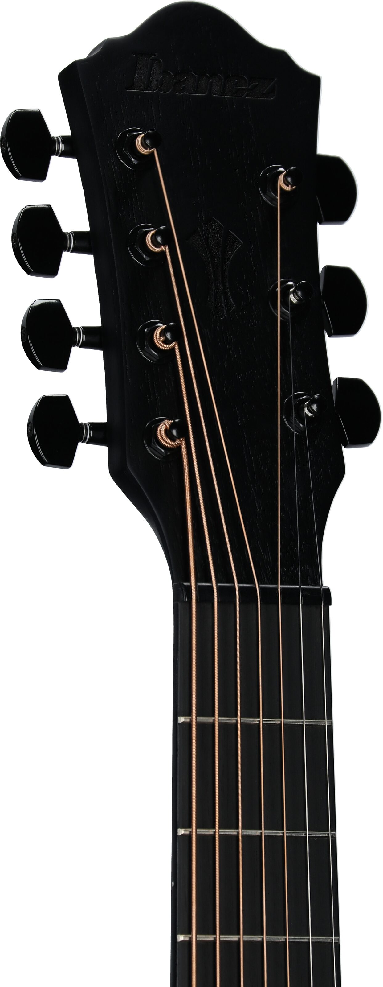 Ibanez AEG721 Acoustic-Electric Guitar, Black Out, Headstock Left Front