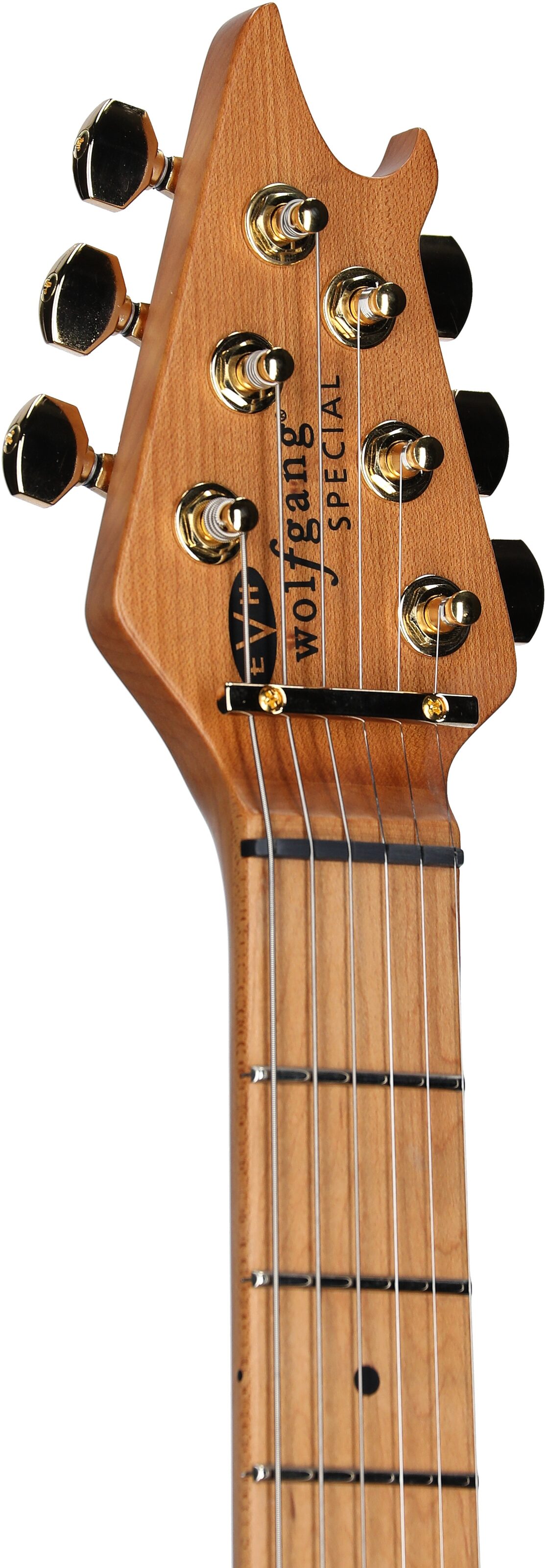 EVH Eddie Van Halen Limited Edition Wolfgang Special TOM Archtop Electric Guitar, Oxblood, Headstock Left Front