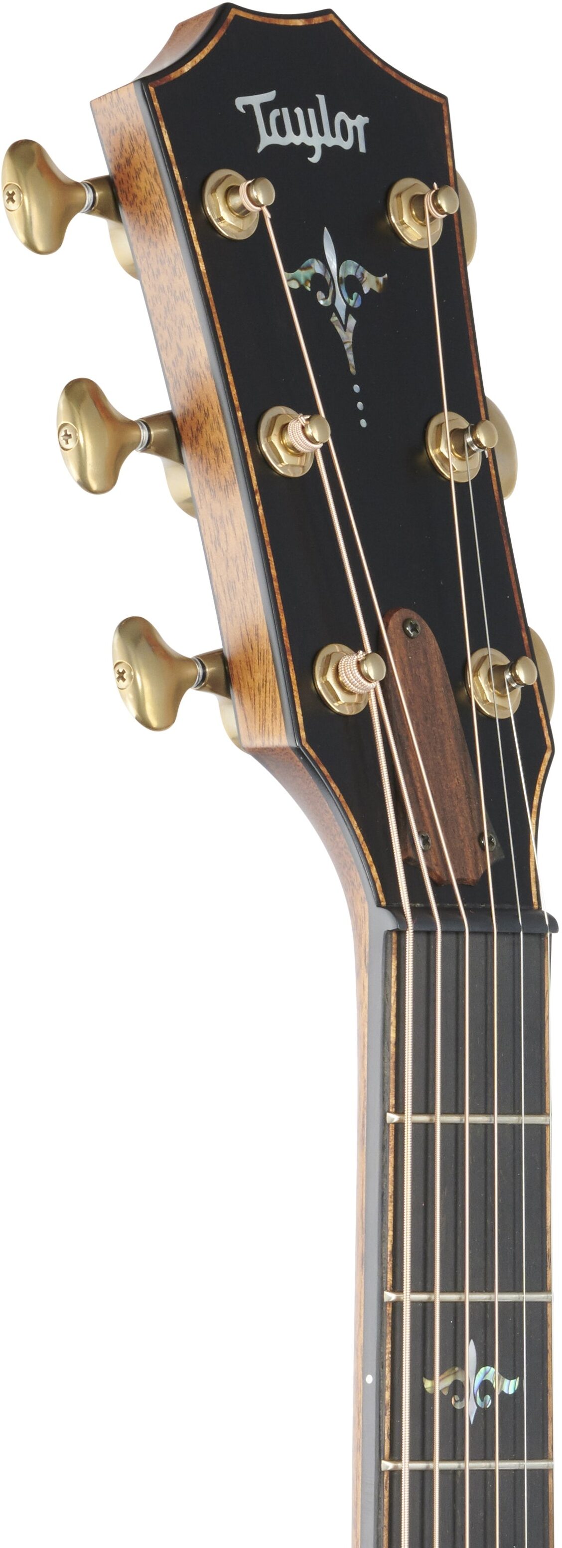 Taylor Builder's Edition 912ce Grand Concert Cutaway Acoustic-Electric Guitar, Wild Honey Burst, Headstock Left Front