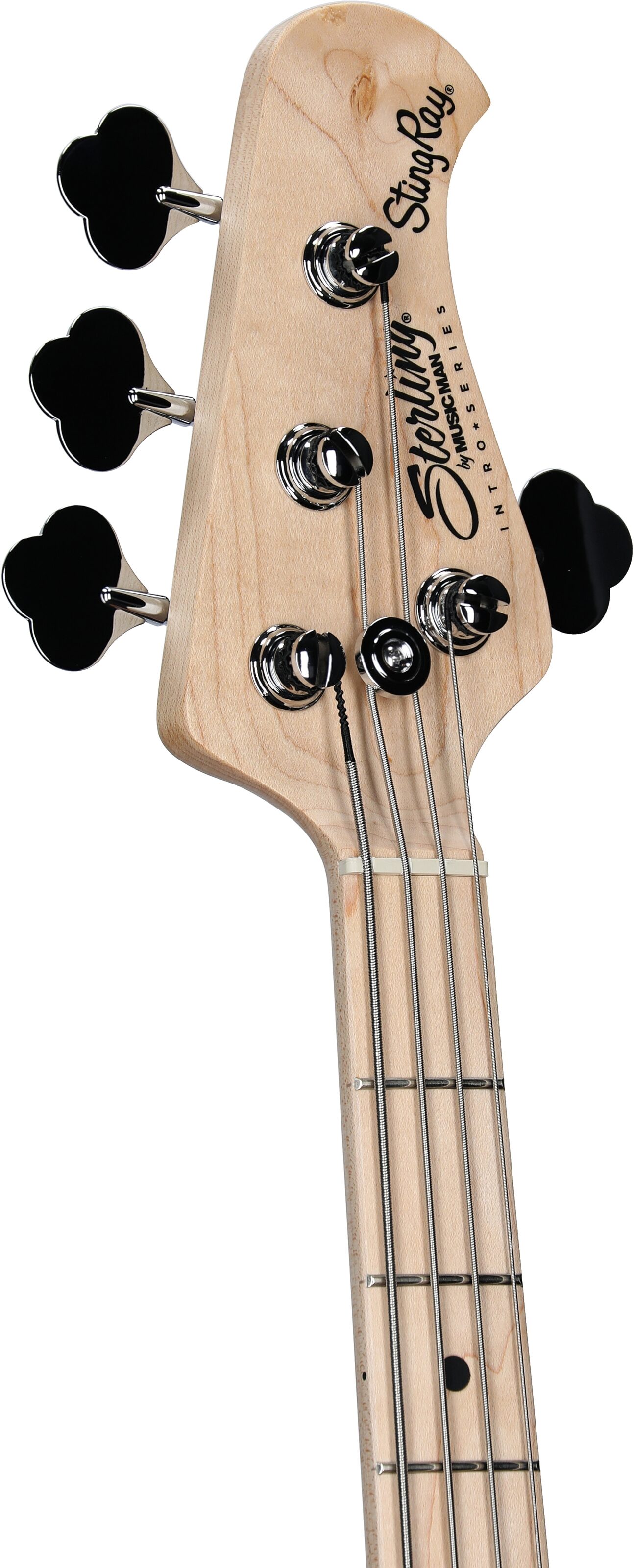 Sterling Intro Series StingRay Electric Bass, Sunrise Orange, Headstock Left Front