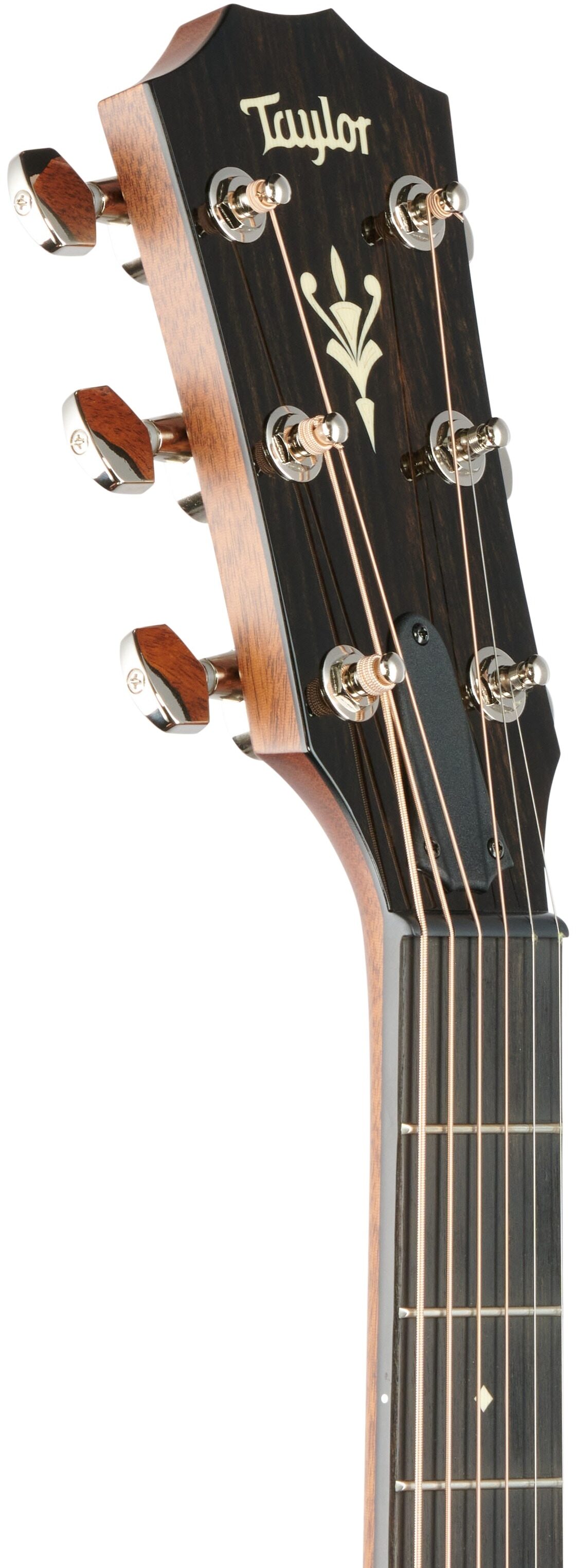 Taylor 514CE Grand Auditorium Cutaway Acoustic-Electric Guitar (with Case), New, Headstock Left Front