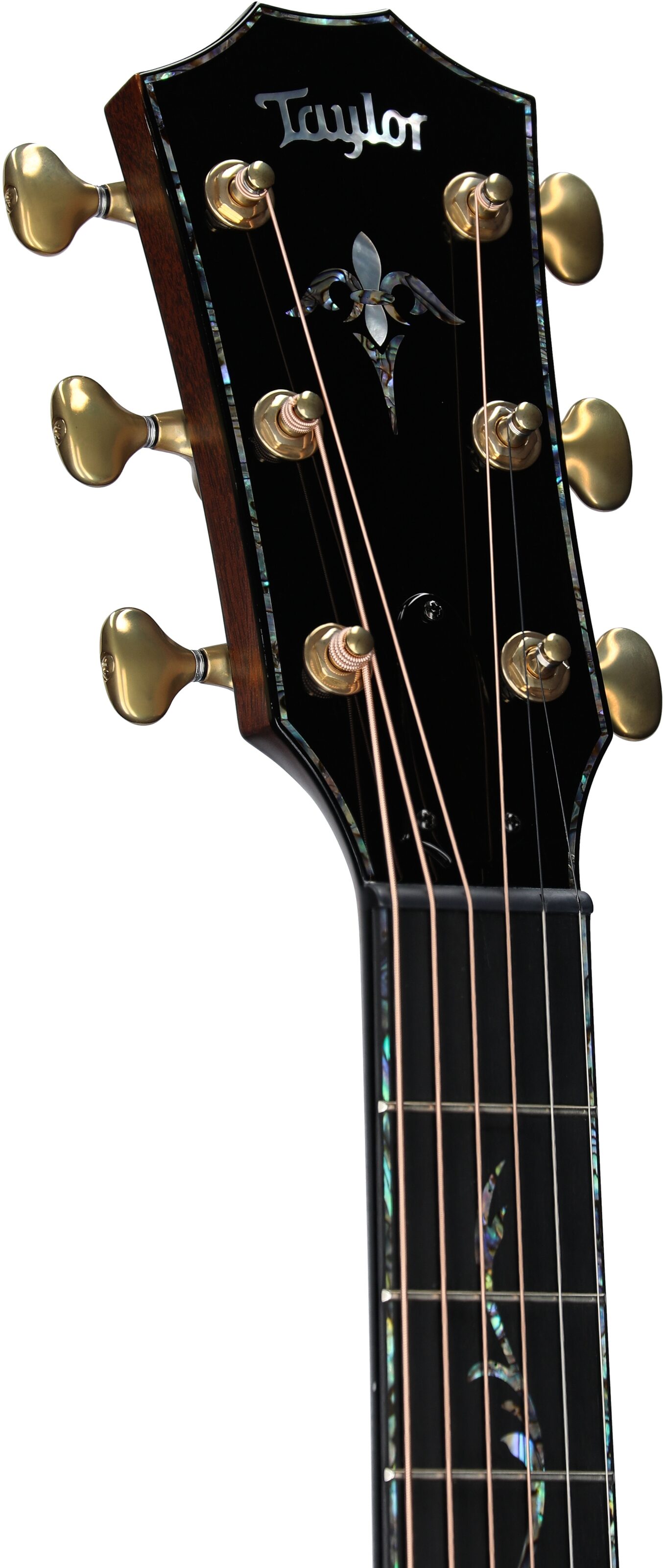 Taylor PS14ce Urban Ironbark Grand Auditorium Acoustic-Electric Guitar (with Case), Shaded Edgeburst, Headstock Left Front
