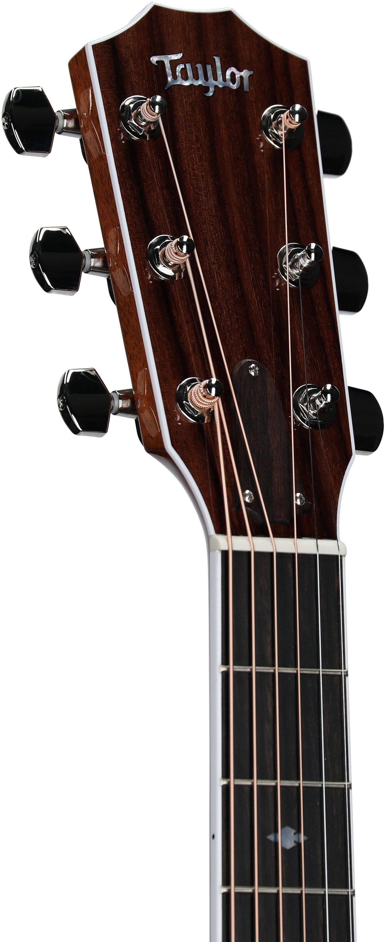 Taylor 810e Legacy Dreadnought Acoustic-Electric Guitar, New, Headstock Left Front