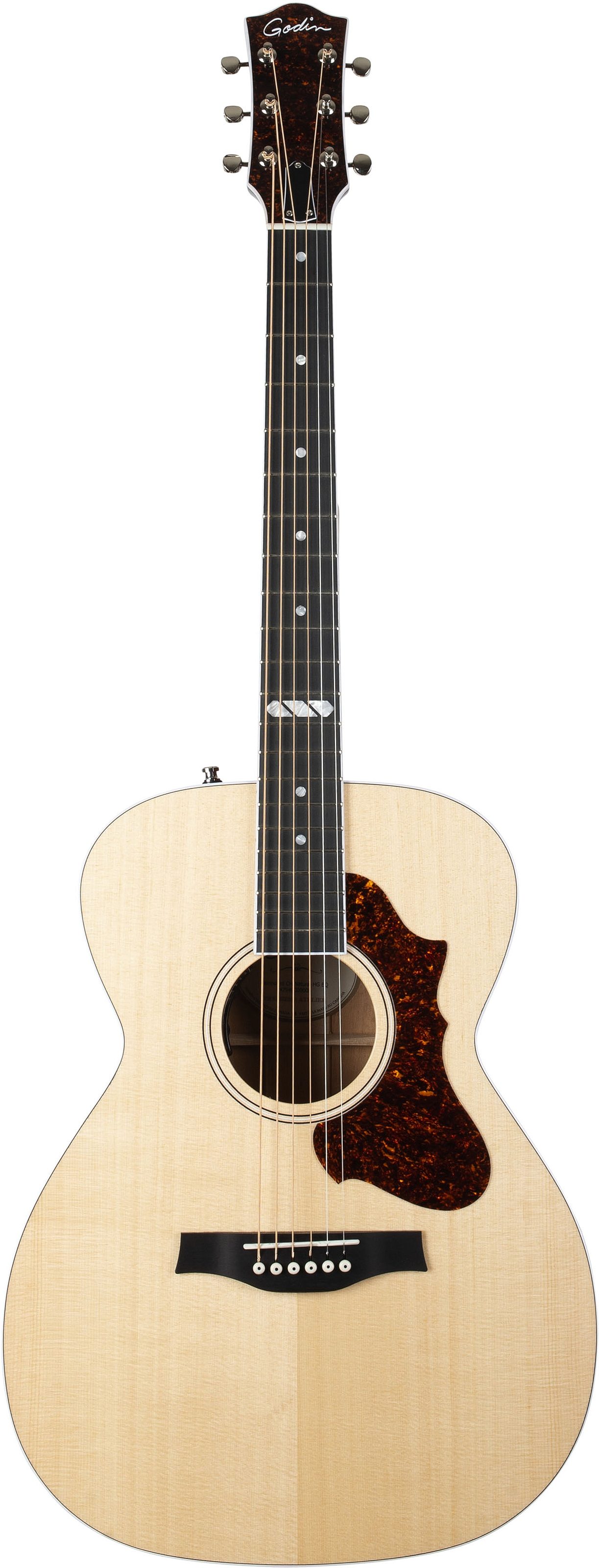 Godin Fairmount CH Acoustic-Electric Guitar (with Case), Action Position Back