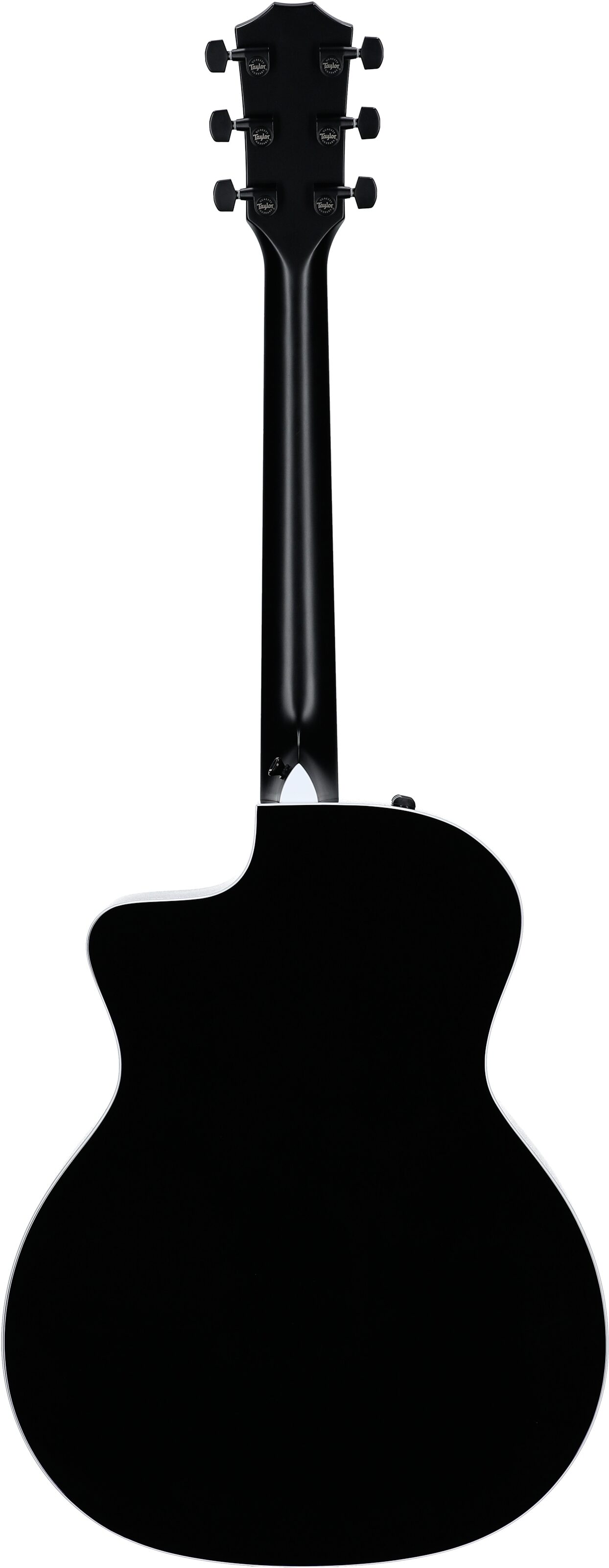 Taylor 214ce-SE Grand Auditorium Acoustic-Electric Guitar (with AeroCase), Blue, Full Straight Back