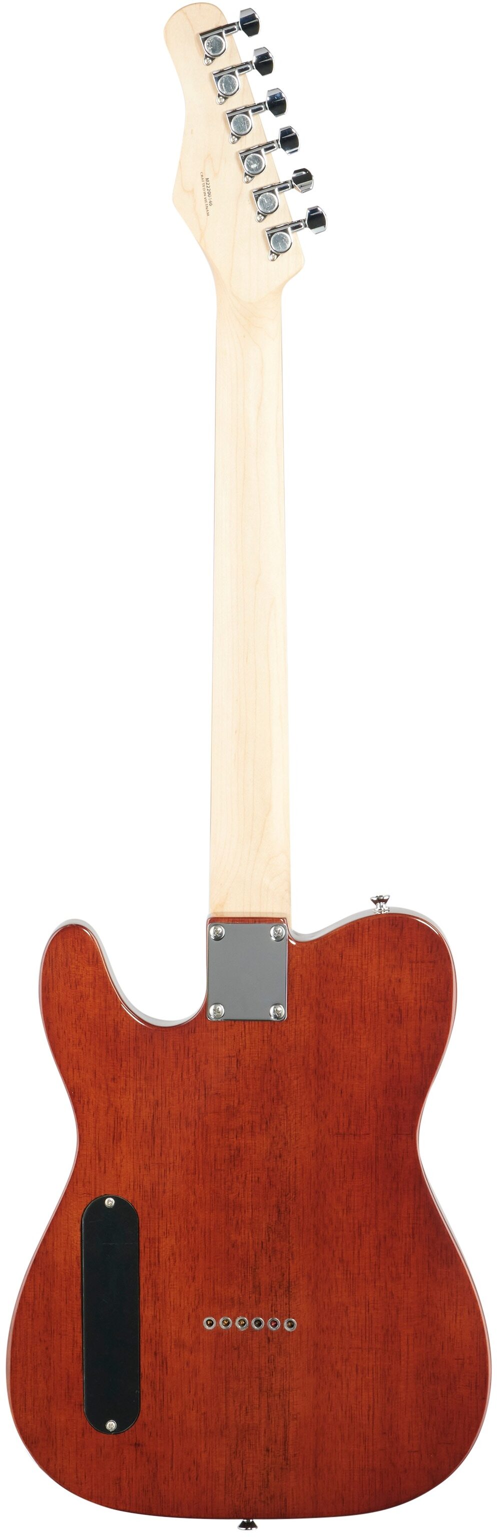 Michael Kelly 59 Thinline Electric Guitar, Natural Top, Spalted Maple, Full Straight Back