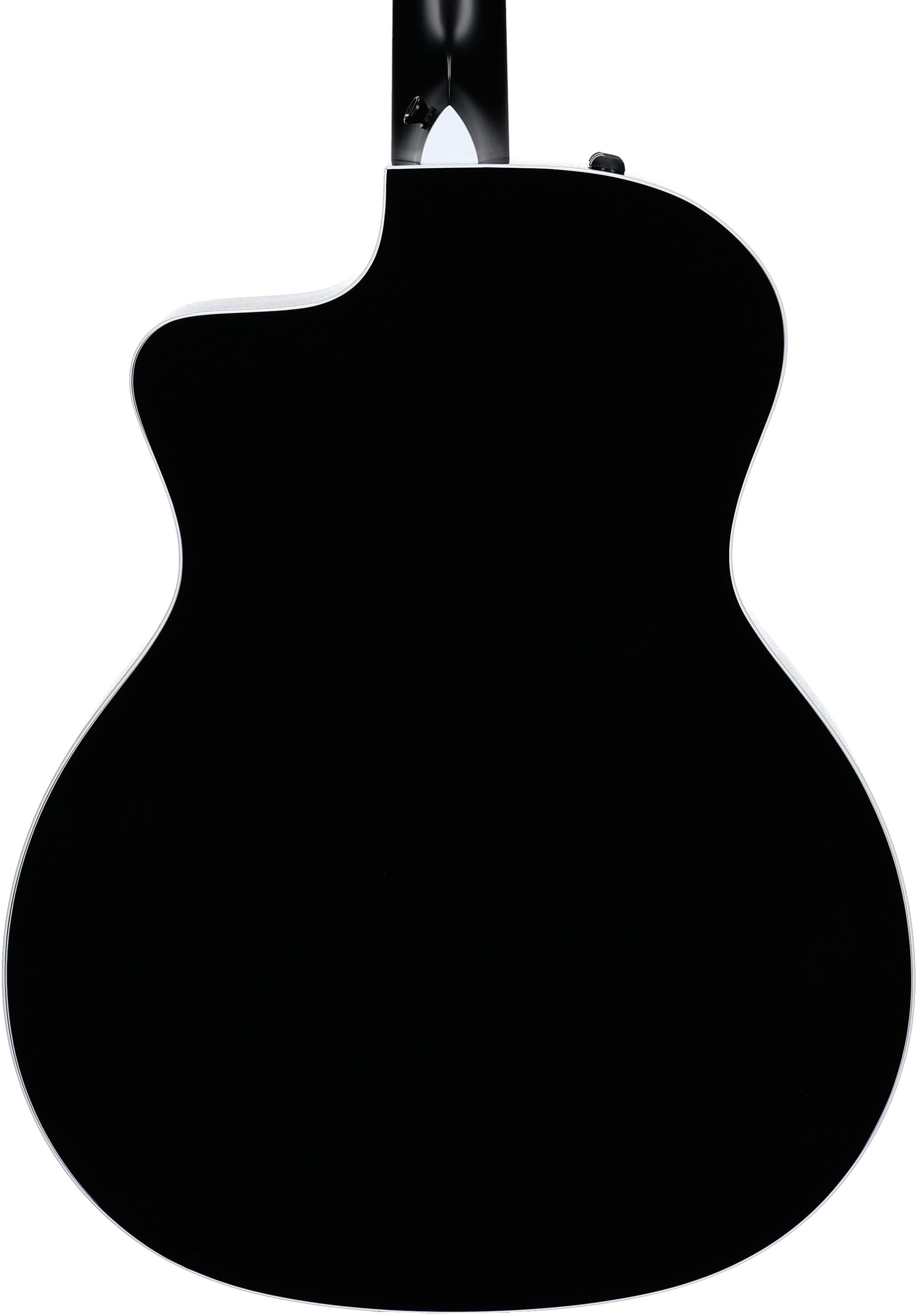 Taylor 214ce-SE Grand Auditorium Acoustic-Electric Guitar (with AeroCase), Blue, Body Straight Back