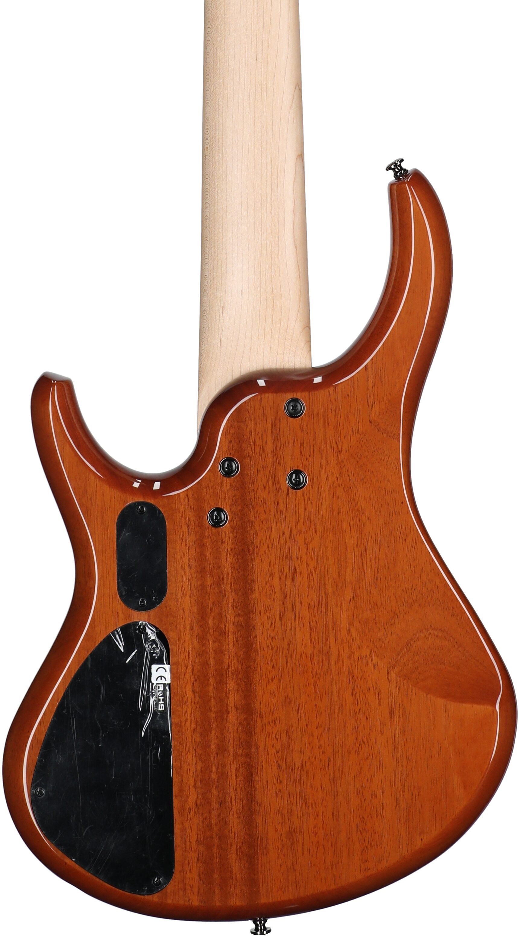 MTD Kingston Z5MP Electric Bass, 5-String (with Maple Fingerboard), Natural Gloss, Body Straight Back