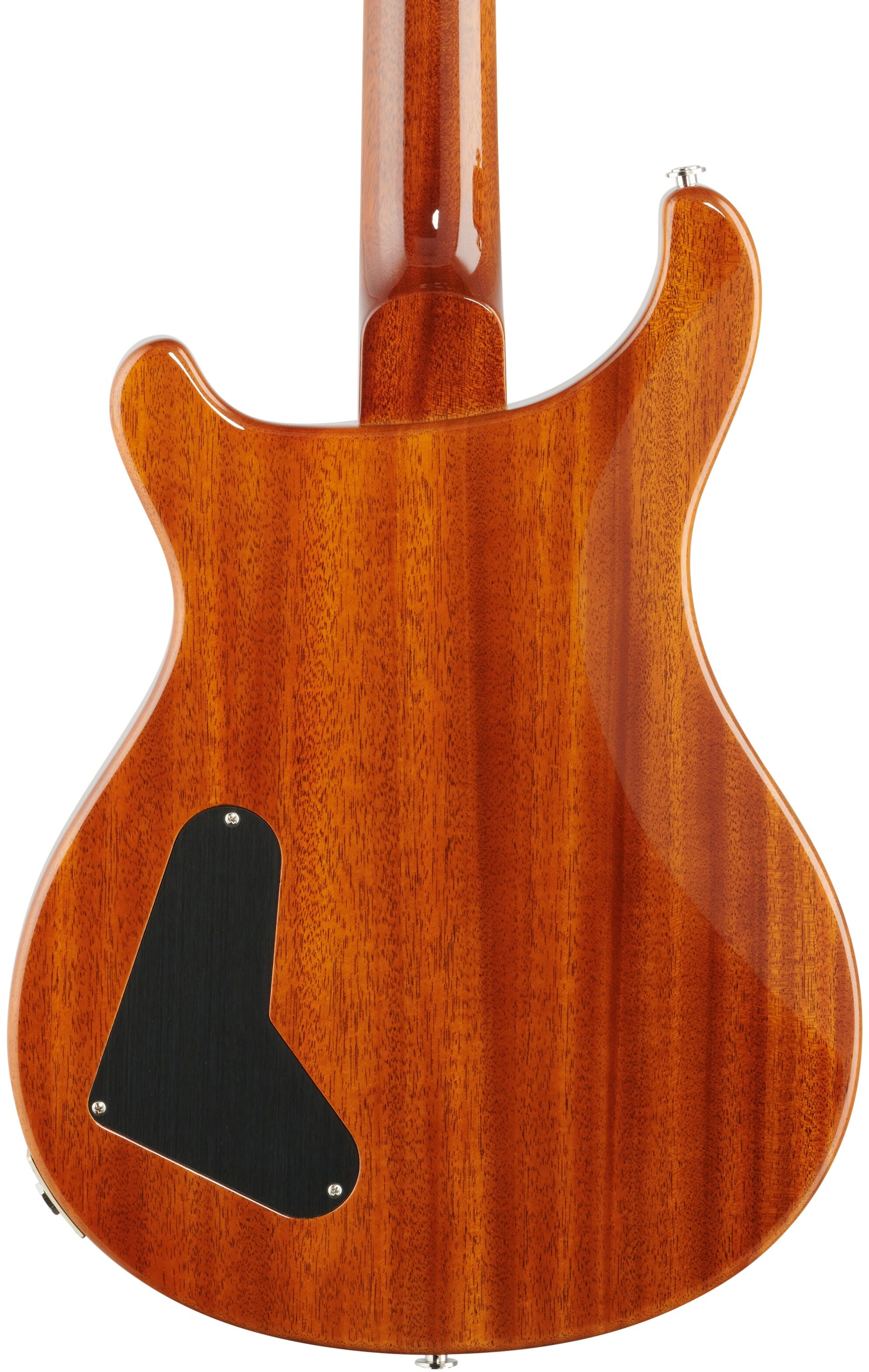 PRS Paul Reed Smith Private Stock Paul's 85 LTD Electric Guitar (with Case), Body Straight Back
