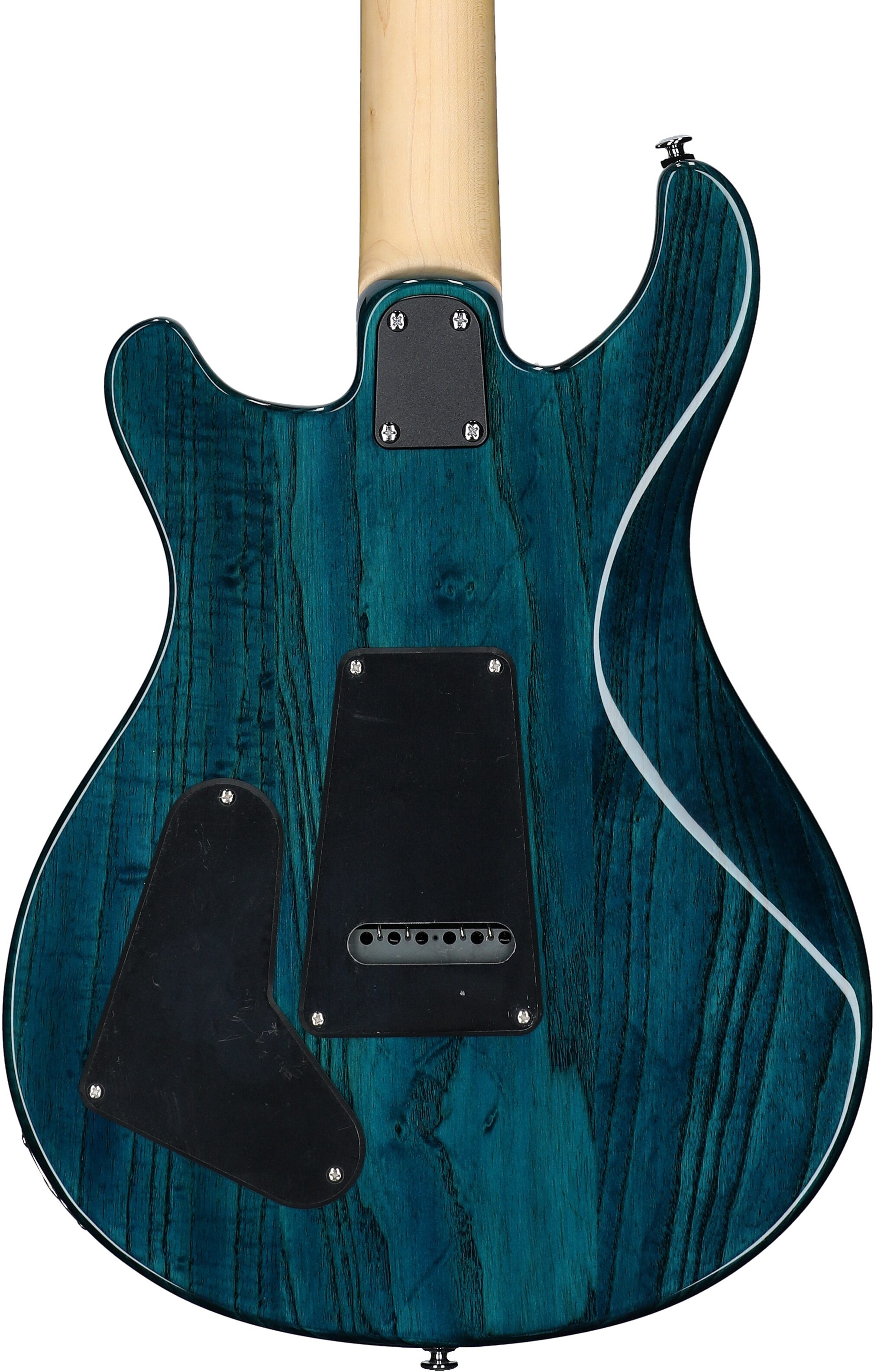 PRS Paul Reed Smith SE Swamp Ash Special Electric Guitar (with Gig Bag), Iris Blue, Body Straight Back