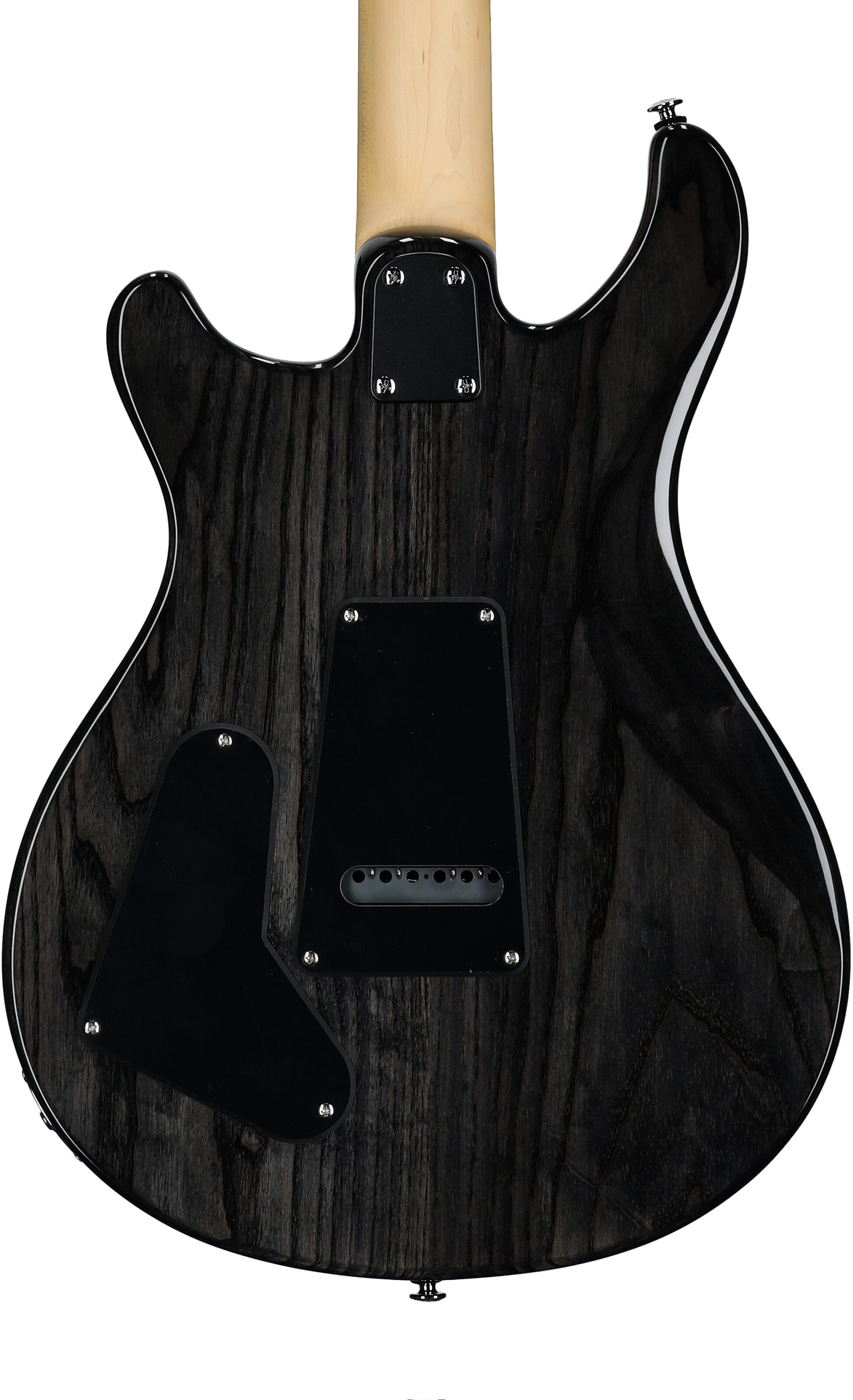 PRS Paul Reed Smith SE Swamp Ash Special Electric Guitar (with Gig Bag), Charcoal, Body Straight Back