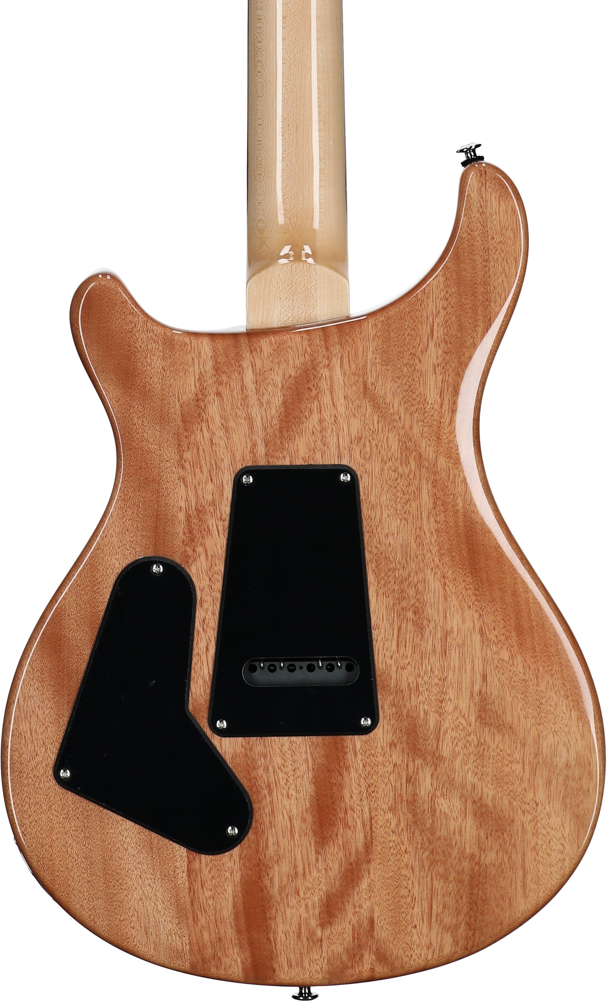 PRS Paul Reed Smith SE Custom 24 Burled Ash Limited Edition Electric Guitar, Swamp Burl Lake Blue, Body Straight Back