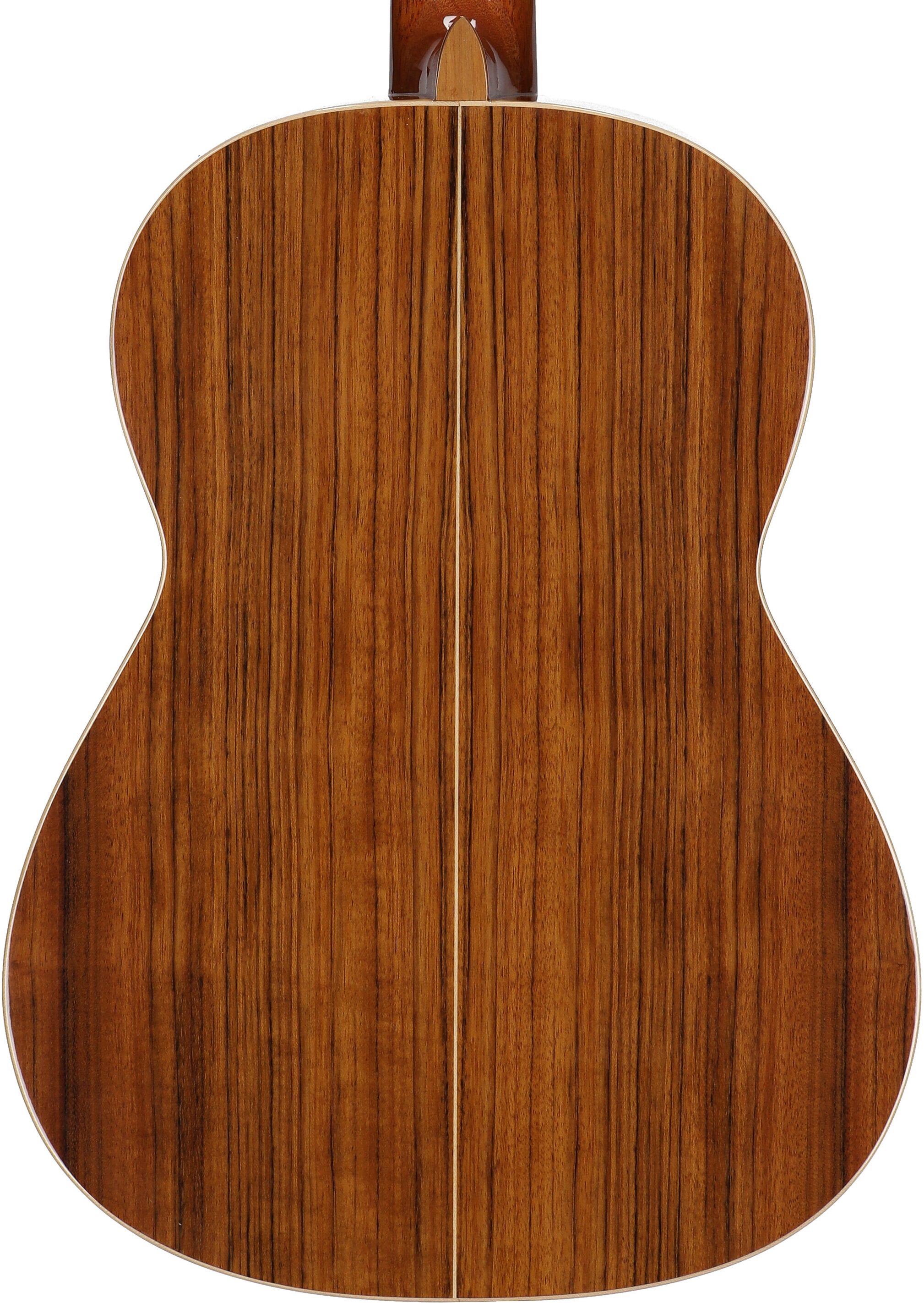 Ortega R220 Gloss Classical Acoustic Guitar (with Gig Bag), New, Body Straight Back