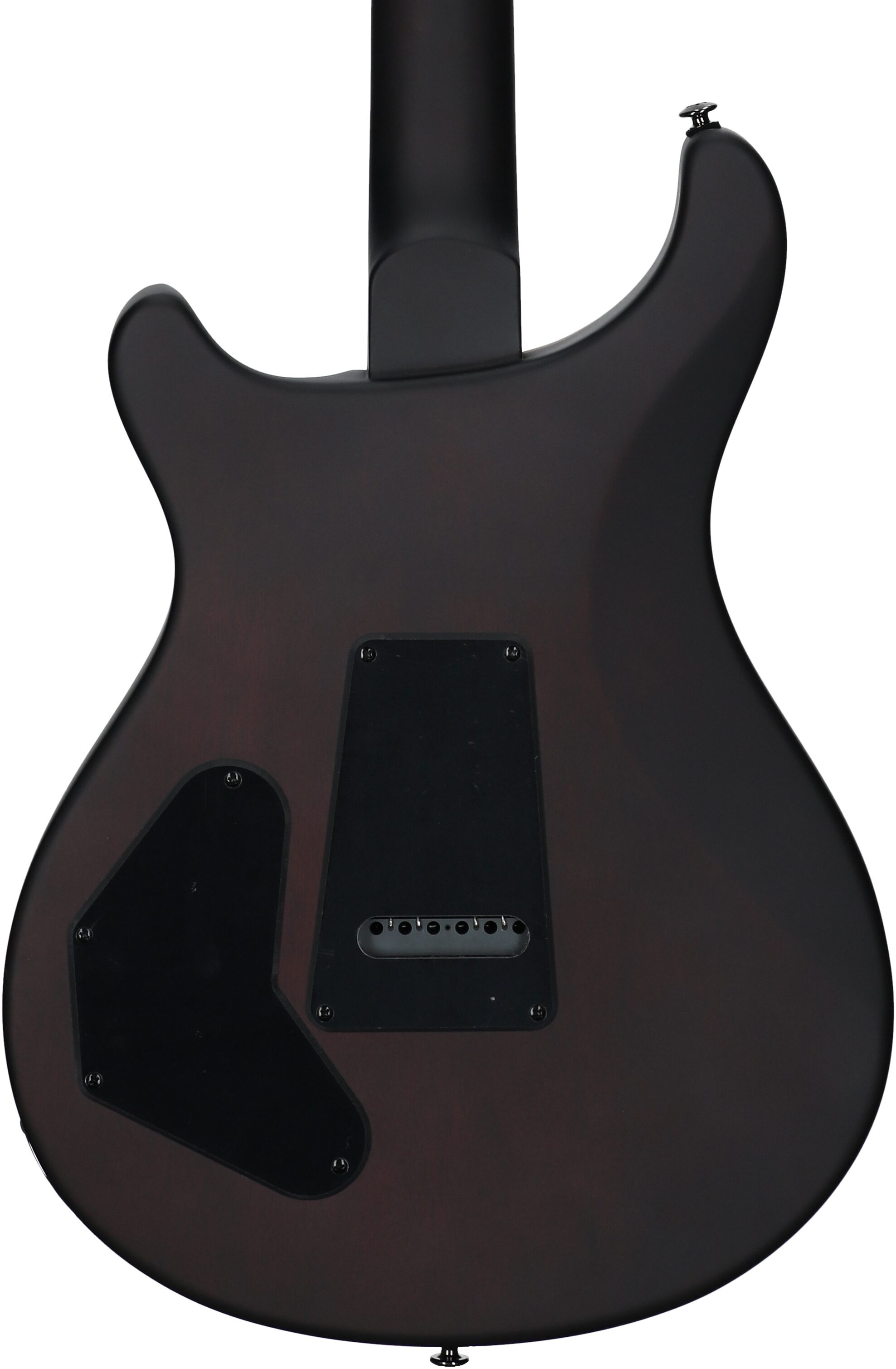 PRS Paul Reed Smith SE DGT Exotic Limited Edition Run Electric Guitar, Laurel Burl McCarty Tobacco Brst, Body Straight Back