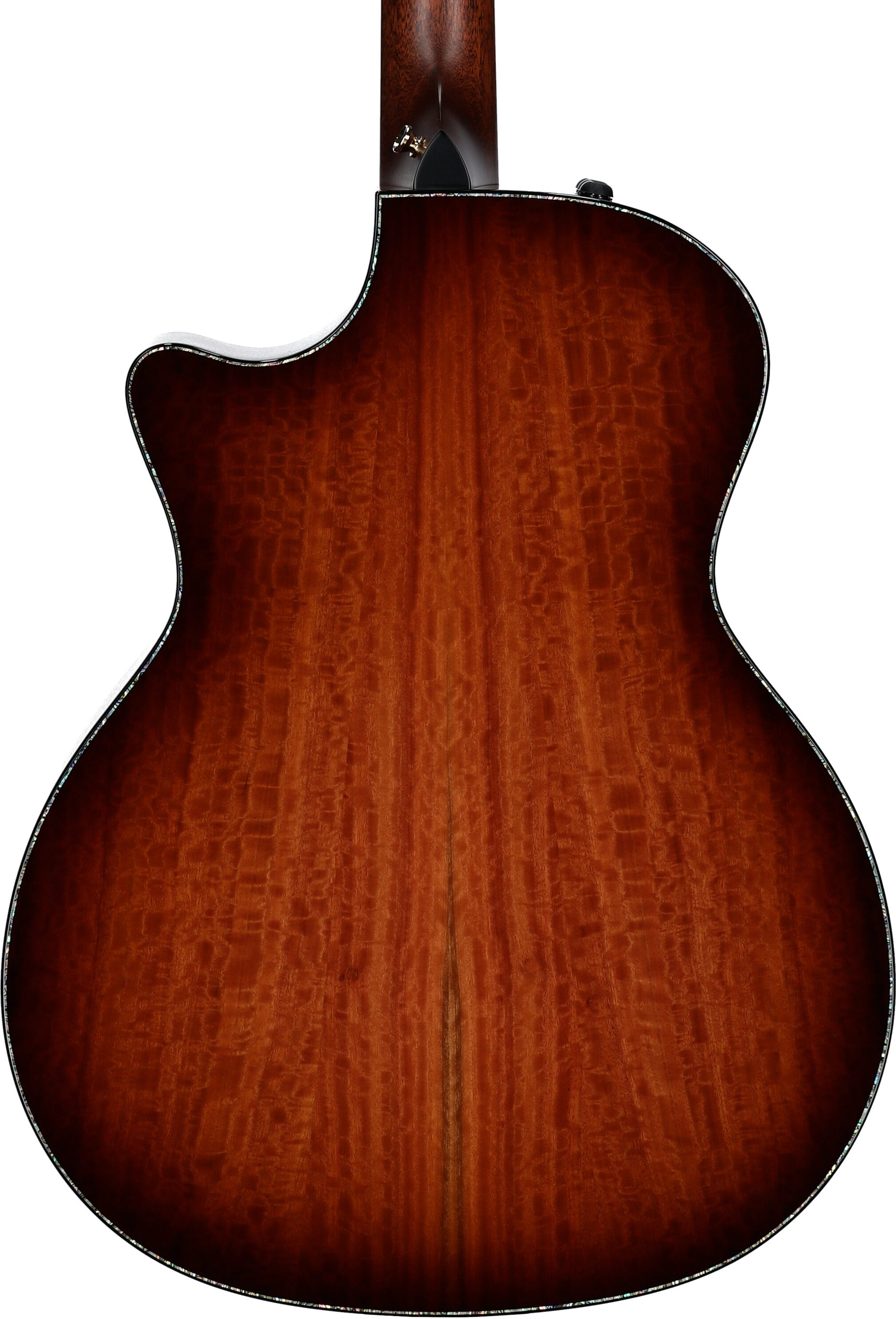 Taylor PS14ce Urban Ironbark Grand Auditorium Acoustic-Electric Guitar (with Case), Shaded Edgeburst, Body Straight Back