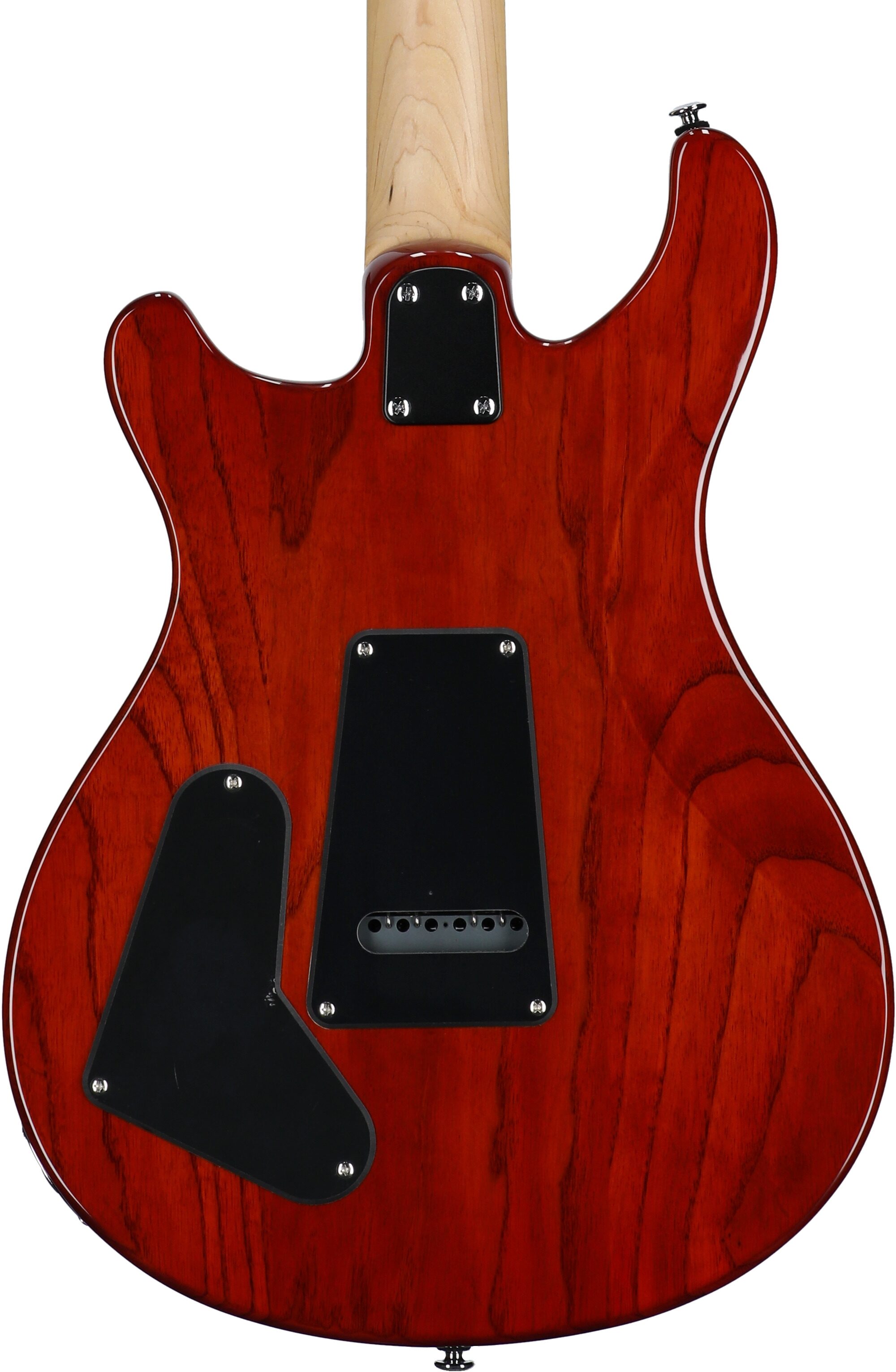 PRS Paul Reed Smith SE Swamp Ash Special Electric Guitar (with Gig Bag), Vintage Sunburst, Body Straight Back