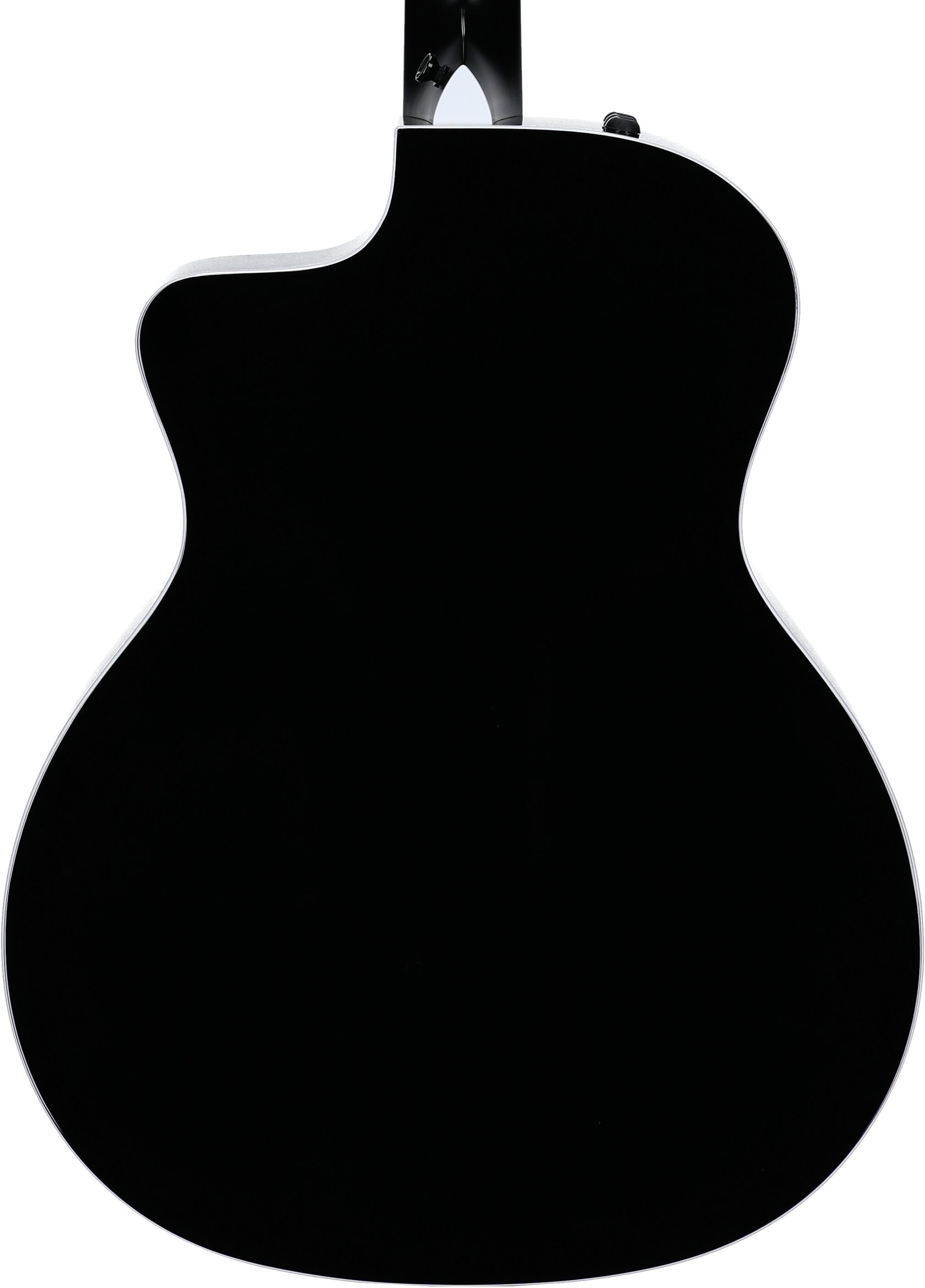 Taylor 214ce-SE Grand Auditorium Acoustic-Electric Guitar (with AeroCase), Grey, Body Straight Back