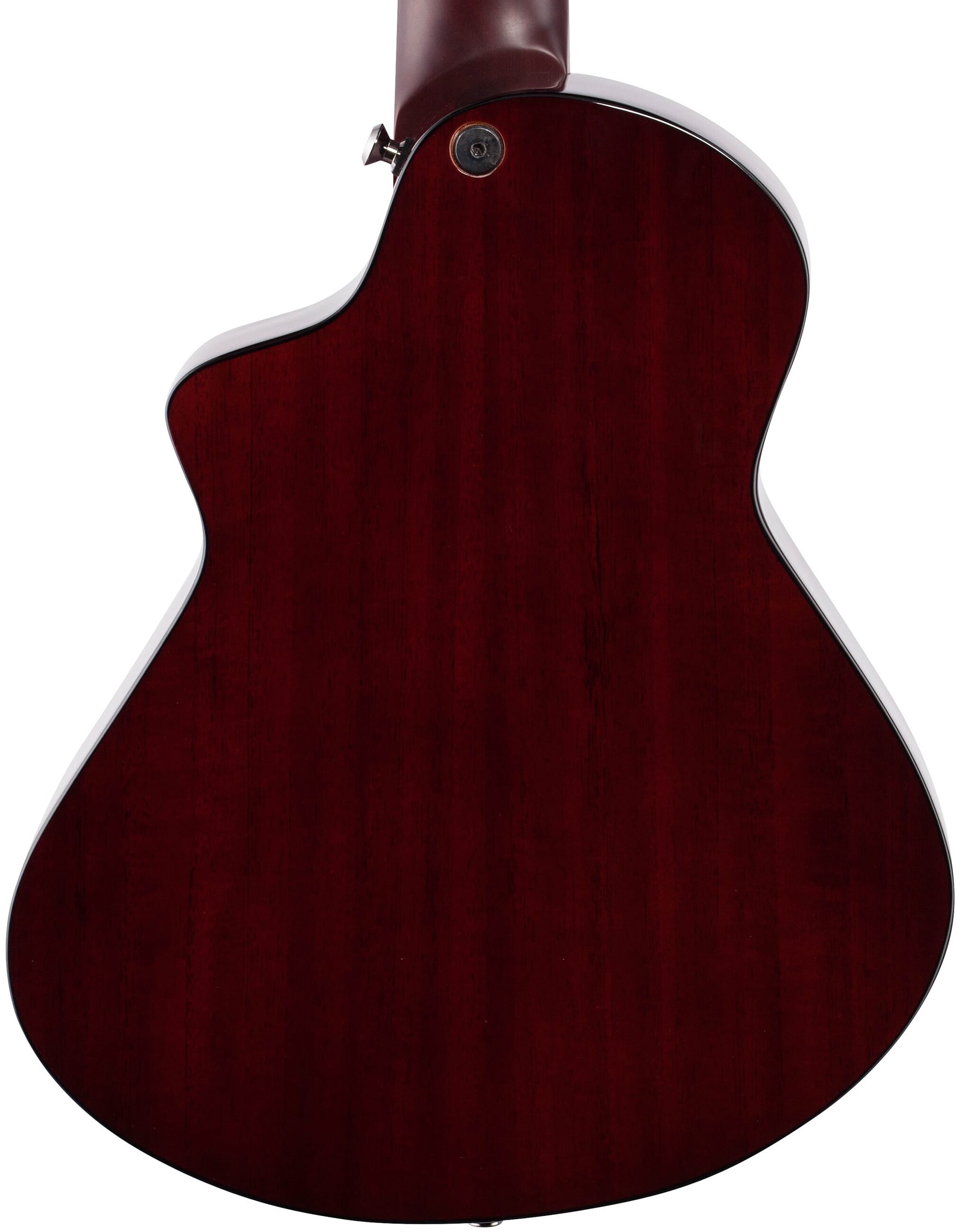 Veillette Avante Gryphon High-Tuned 12-String Acoustic Guitar, Tobacco Burst, Body Straight Back