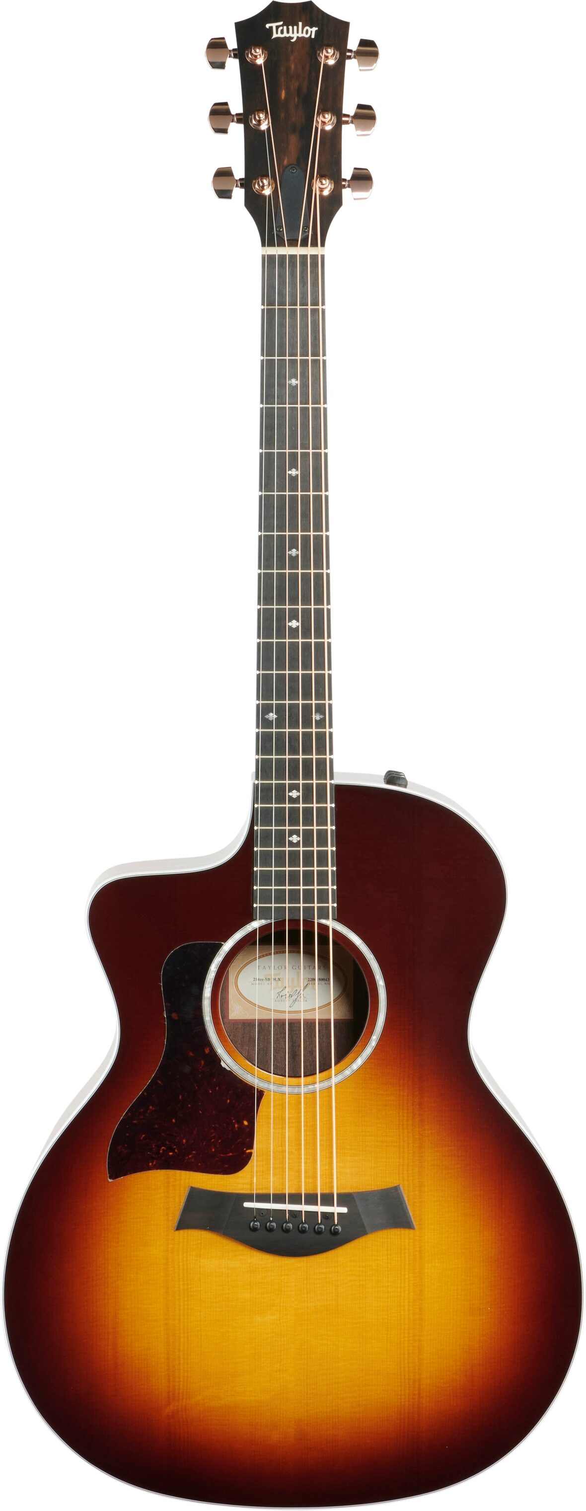 Taylor 214ce Deluxe Grand Auditorium, Left-Handed (with Case), Action Position Back
