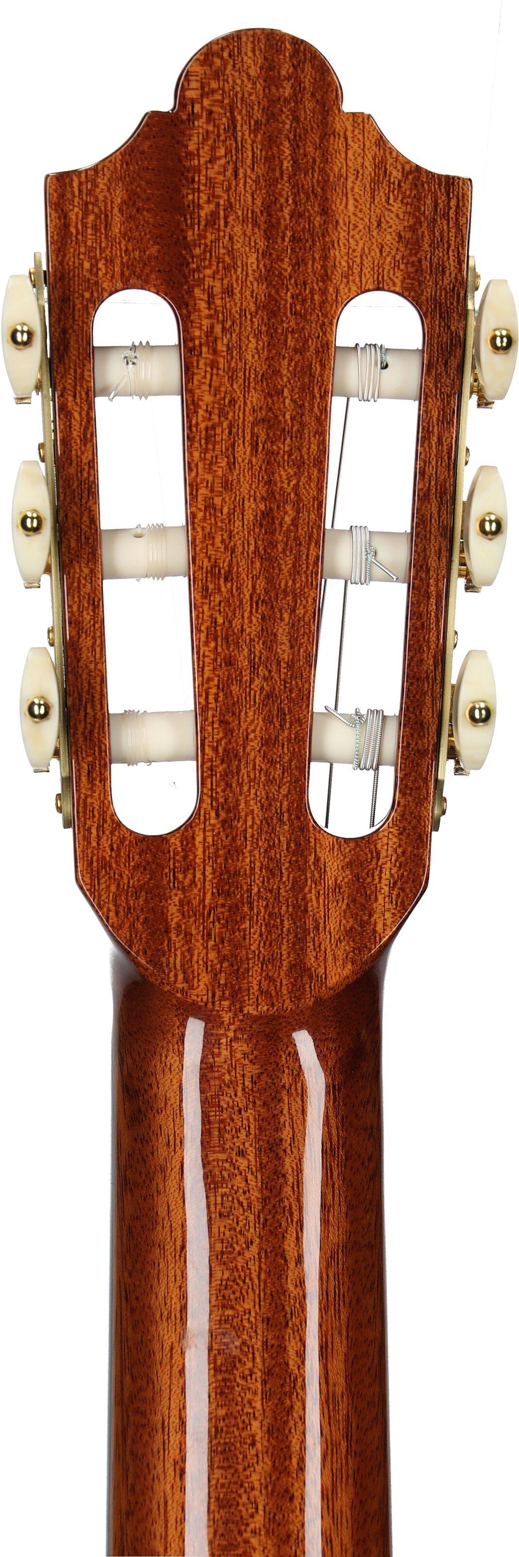 Cordoba Friederich CD Classical Acoustic Guitar, New, Serial Number 72202252, Headstock Straight Back