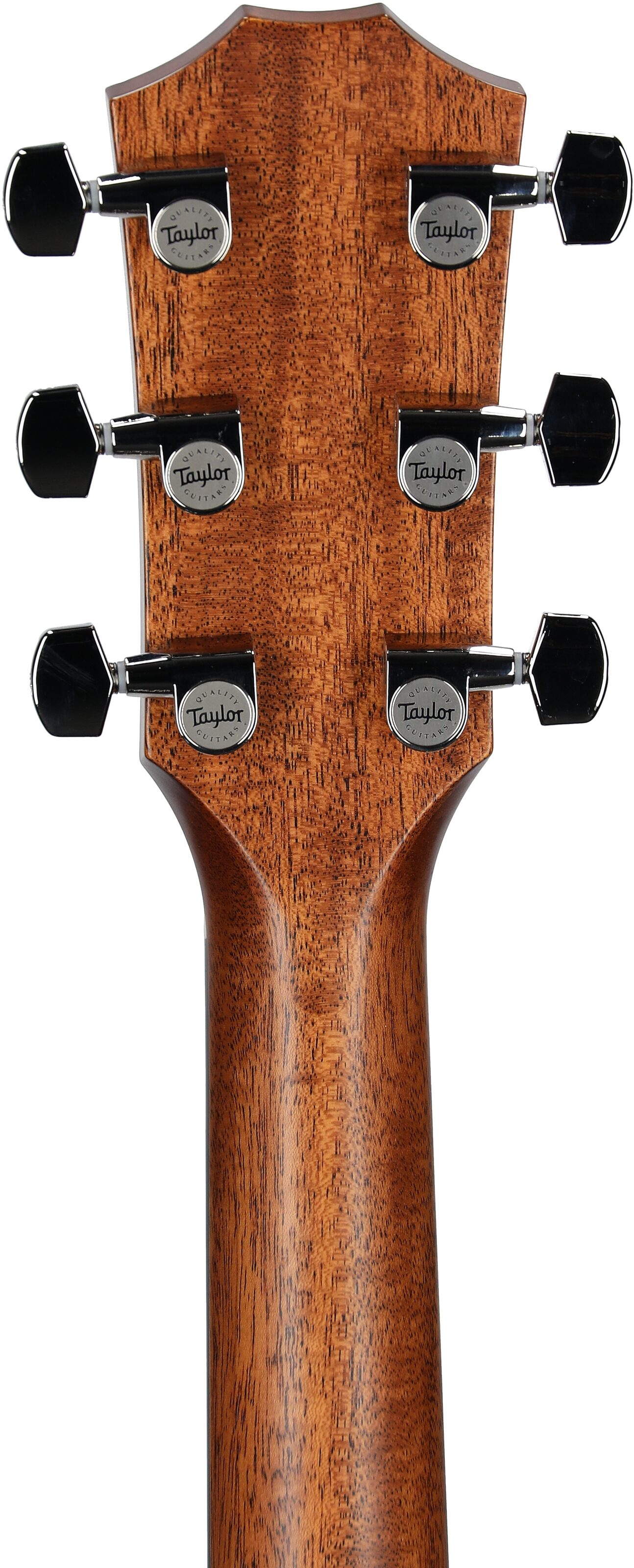 Taylor 414ce Studio Grand Auditorium Acoustic-Electric Guitar (with Case), Shaded Edgeburst, Headstock Straight Back
