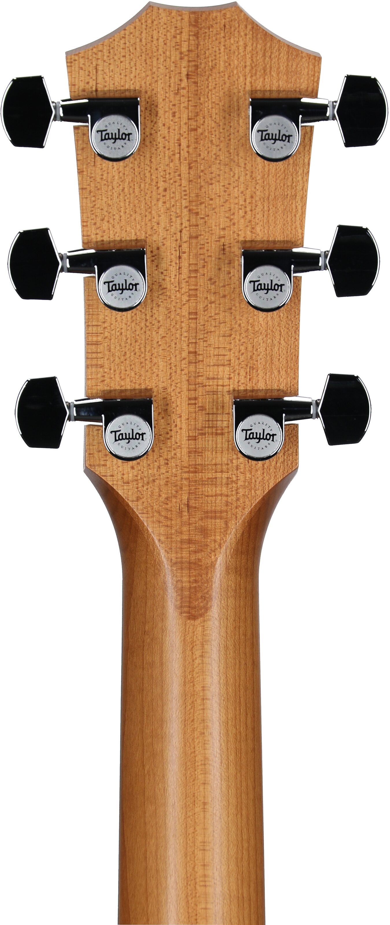 Taylor 110ce-S Dreadnought Acoustic Electric Guitar (with Gig Bag), New, Headstock Straight Back