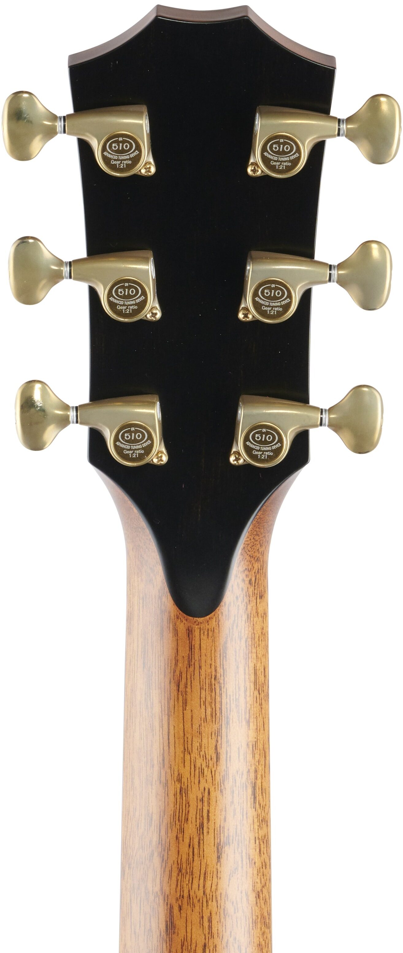 Taylor Builder's Edition 912ce Grand Concert Cutaway Acoustic-Electric Guitar, Wild Honey Burst, Headstock Straight Back