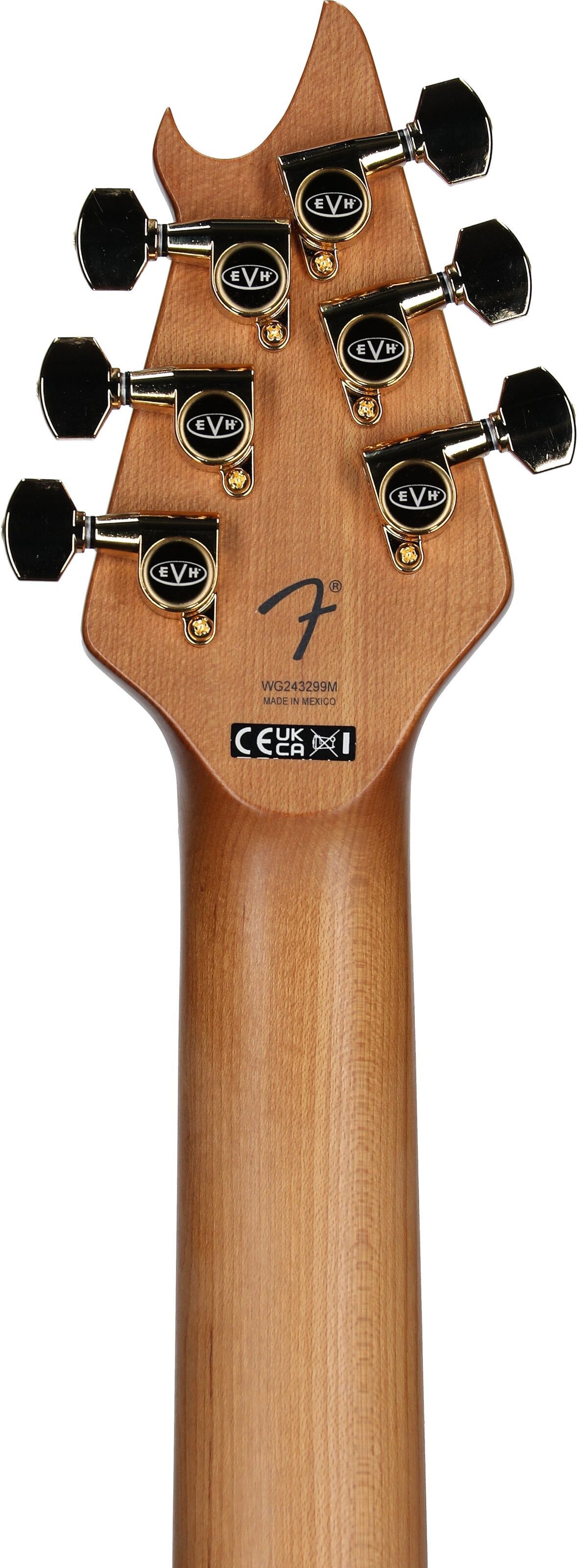 EVH Eddie Van Halen Limited Edition Wolfgang Special TOM Archtop Electric Guitar, Oxblood, Headstock Straight Back
