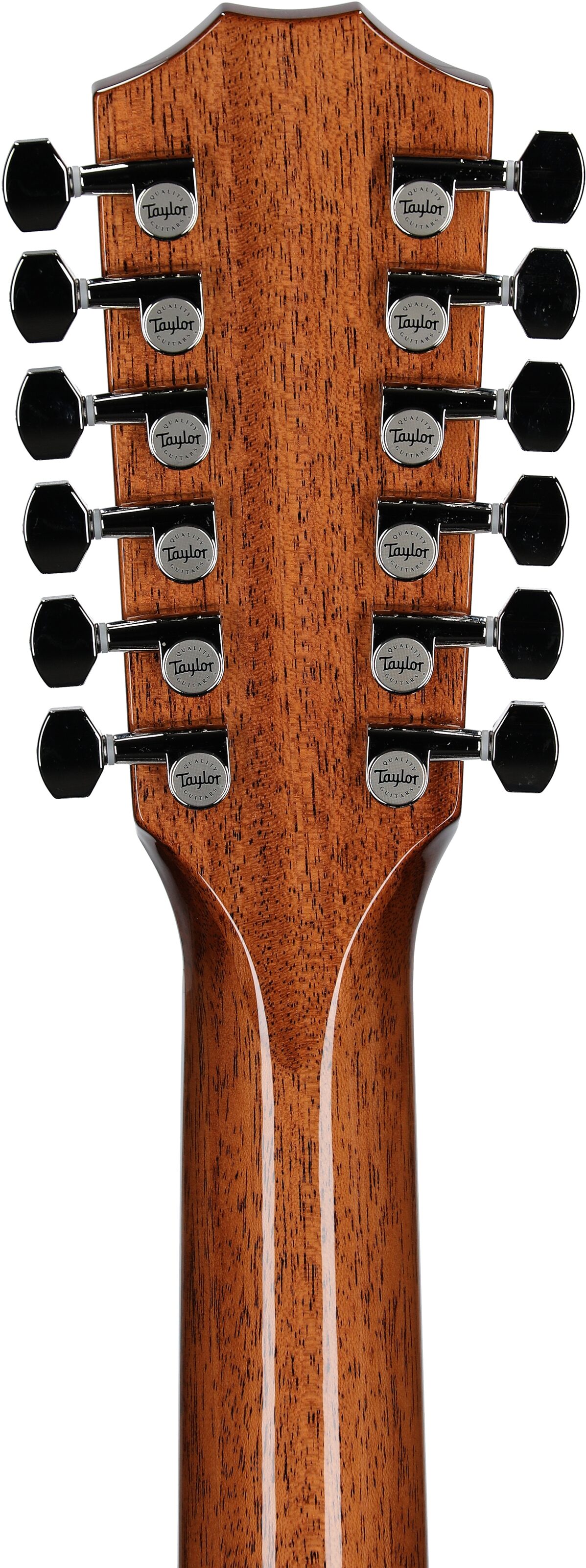 Taylor 855e Jumbo Acoustic-Electric Guitar, 12-String (with Case), New, Headstock Straight Back