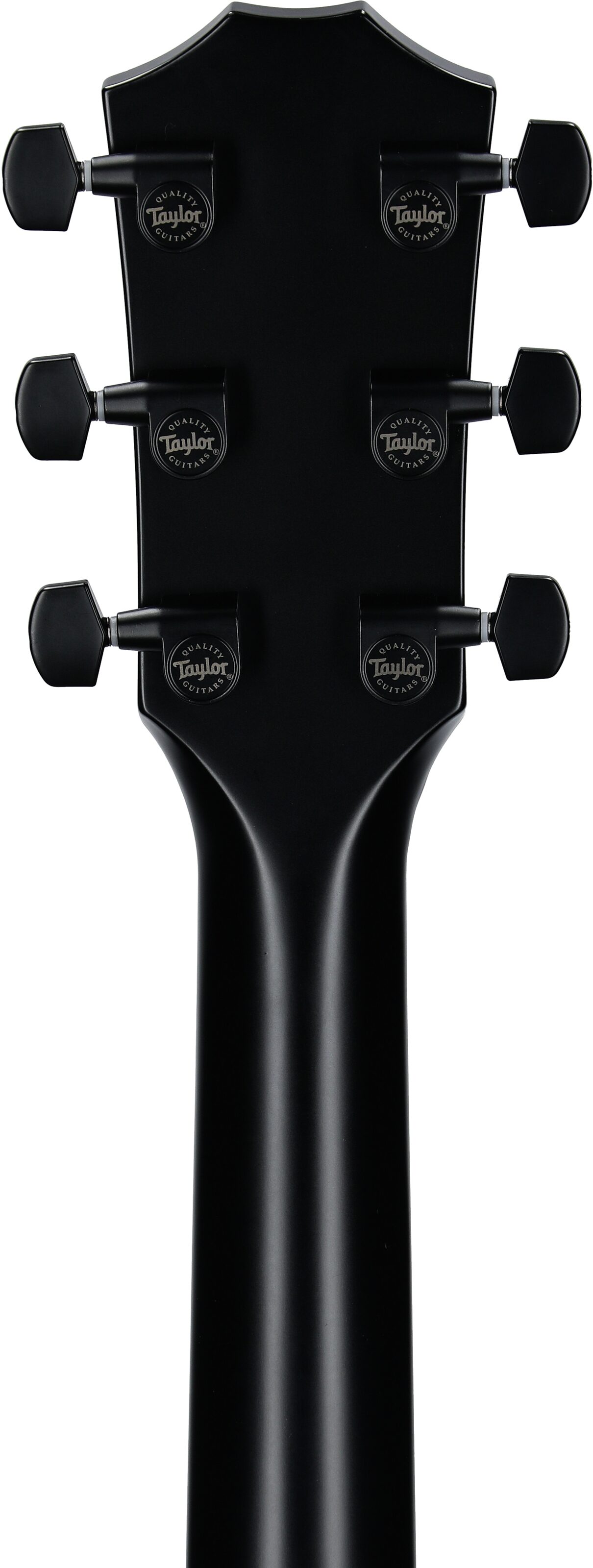 Taylor 214ce-SE Grand Auditorium Acoustic-Electric Guitar (with AeroCase), Grey, Headstock Straight Back
