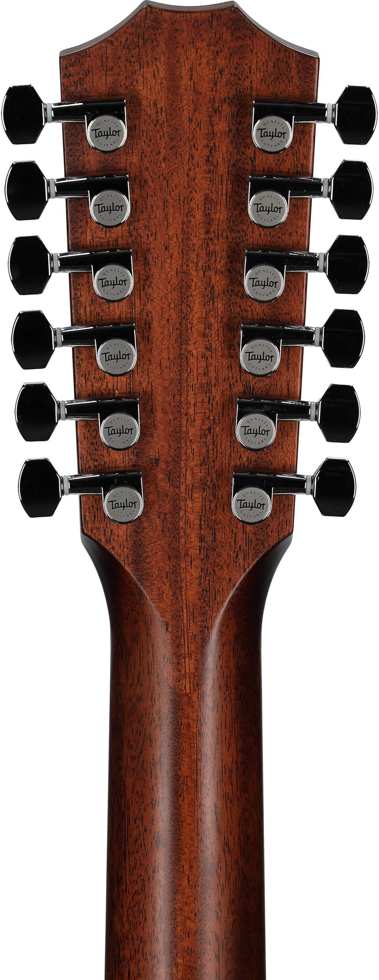 Taylor 454ce Grand Auditorium Cutaway Acoustic-Electric Guitar, 12-String, Natural, Headstock Straight Back