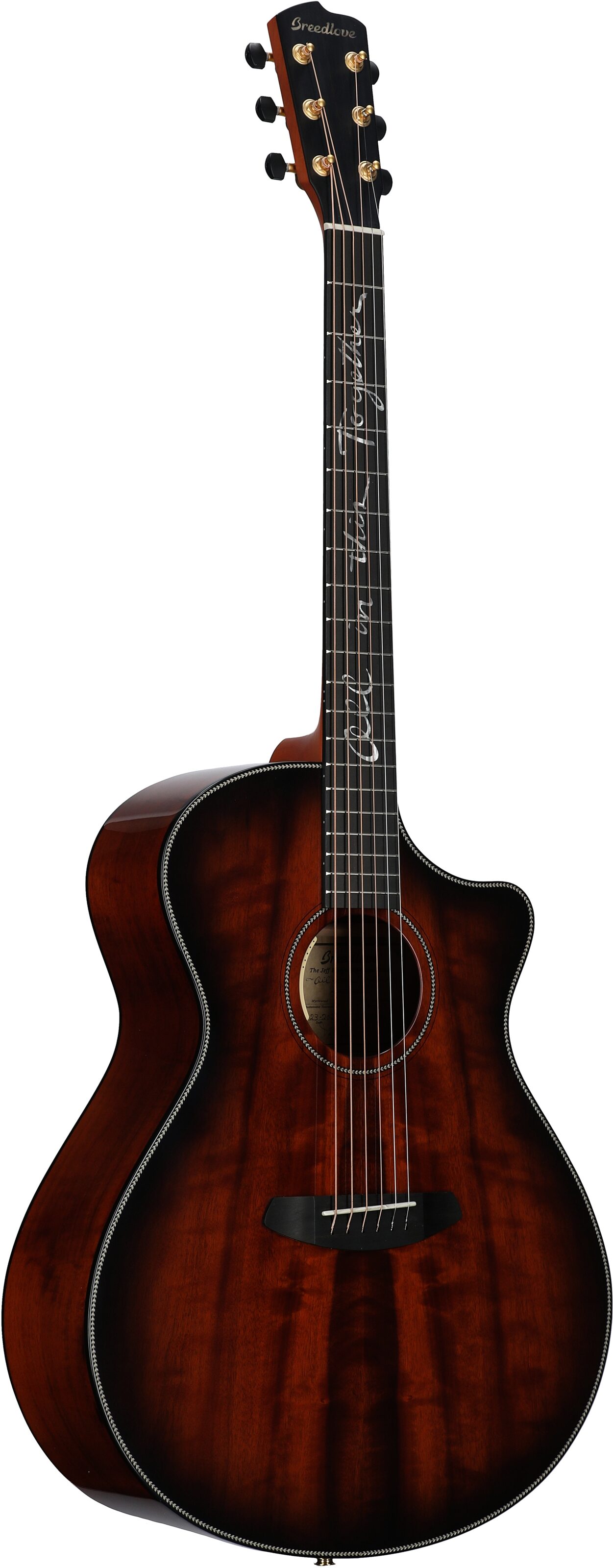 Breedlove Jeff Bridges Oregon Dreadnought Concerto CE Acoustic-Electric Guitar (with Gig Bag), New, Serial Number 28383, Body Left Front