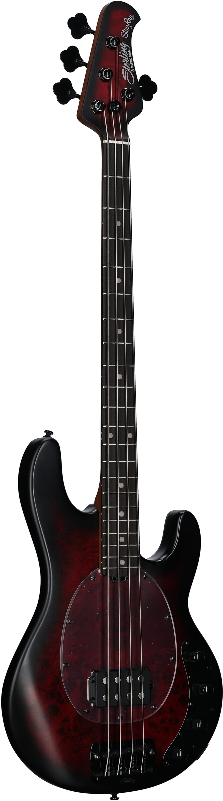 レアカラーミュージックマンスティングレイ STINGRAY BASS - 楽器、器材