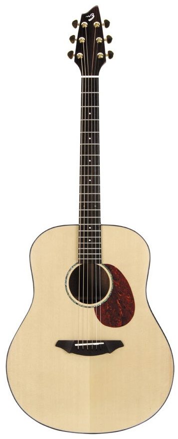 Breedlove D20/SM American Series Dreadnought Acoustic Guitar (with Case), Main