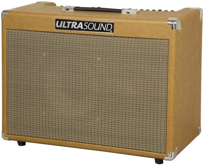 UltraSound PRO-250 Acoustic Guitar Amplifier (250 Watts, 1x10"), Right