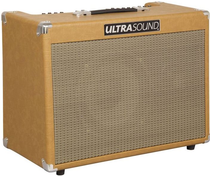 UltraSound PRO-250 Acoustic Guitar Amplifier (250 Watts, 1x10"), Left