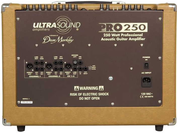 UltraSound PRO-250 Acoustic Guitar Amplifier (250 Watts, 1x10"), Back