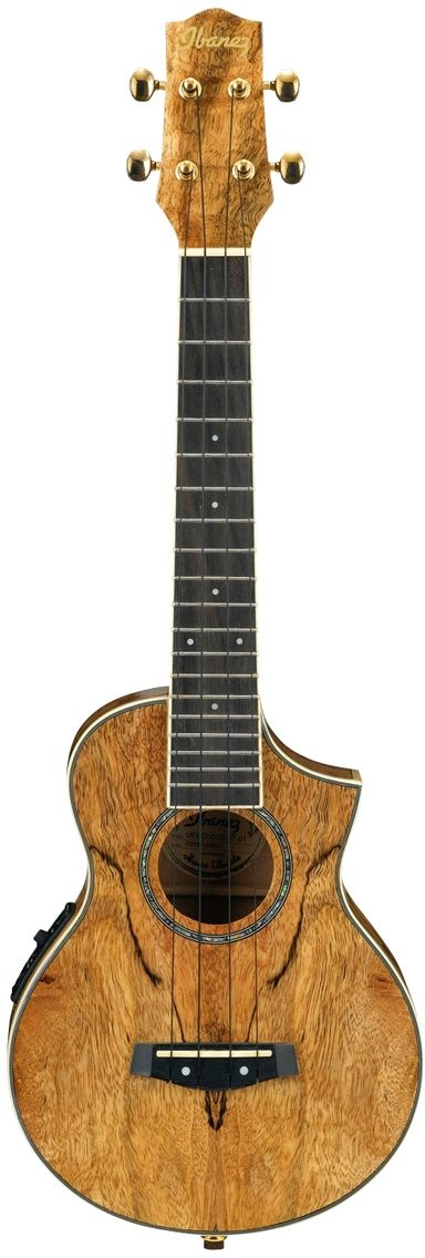 Ibanez UEW20SGE Acoustic-Electric Ukulele (with Gig Bag), Main