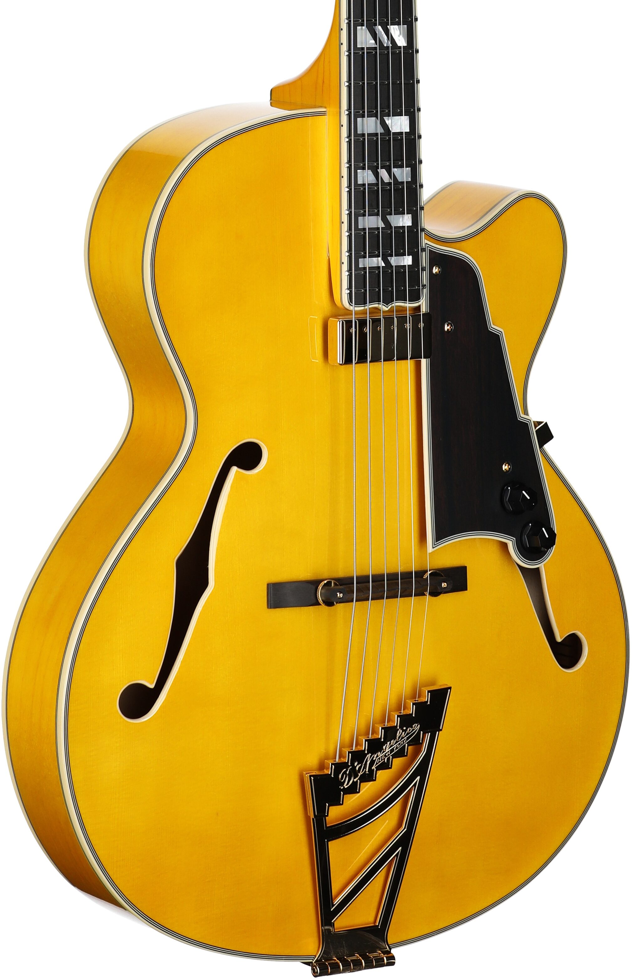 D'Angelico Excel 16 Hollowbody Electric Guitar (with Case), Amber, Full Left Front