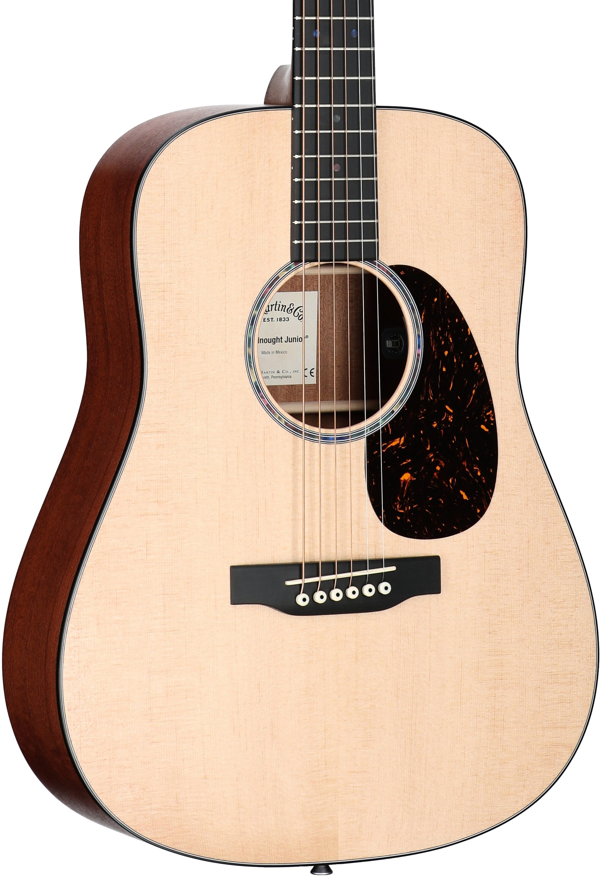 Martin D Junior E Acoustic-Electric Guitar (with Soft Case), New, Full Left Front