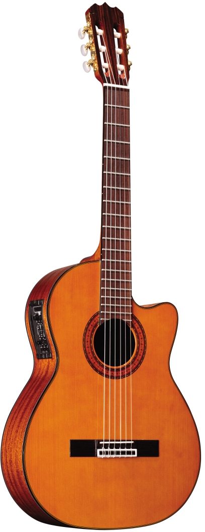 Washburn C5CE Classical Nylon String Acoustic-Electric, 45% OFF