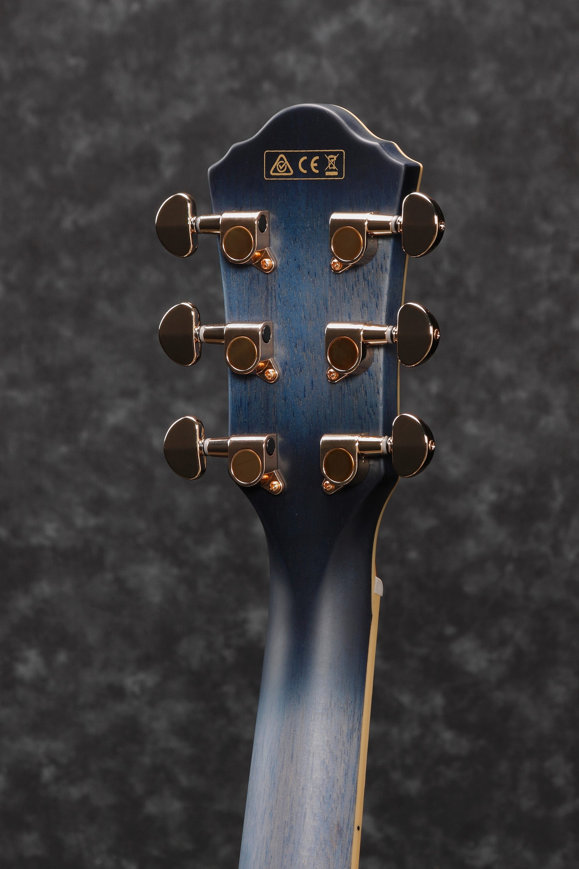 Ibanez AEG20II Acoustic-Electric Guitar, Rear detail Headstock