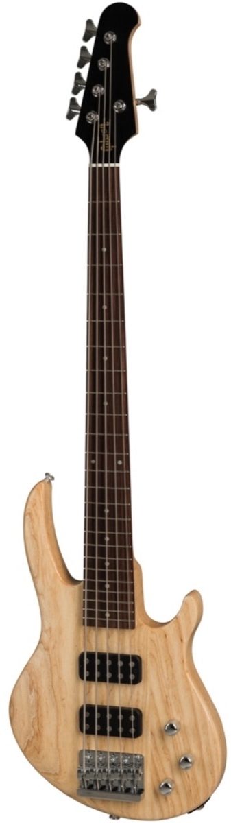 Gibson 2019 EB5 Traditional Electric Bass, 5-String (with Gig Bag), Main