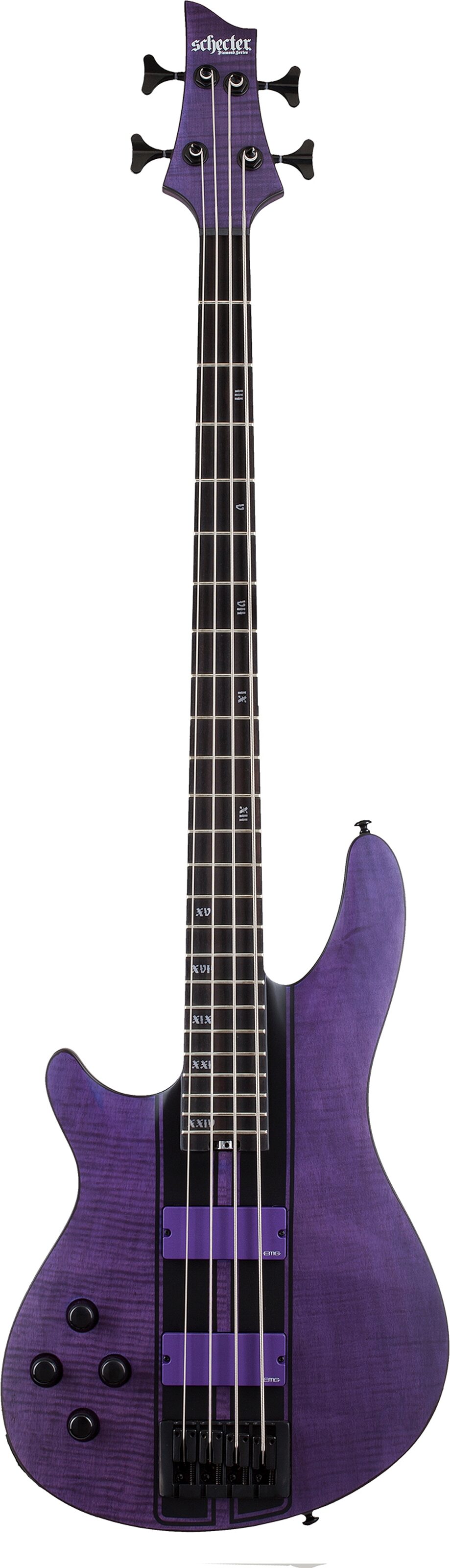 Schecter C-4 GT Electric Bass, Left-Handed, Action Position Back